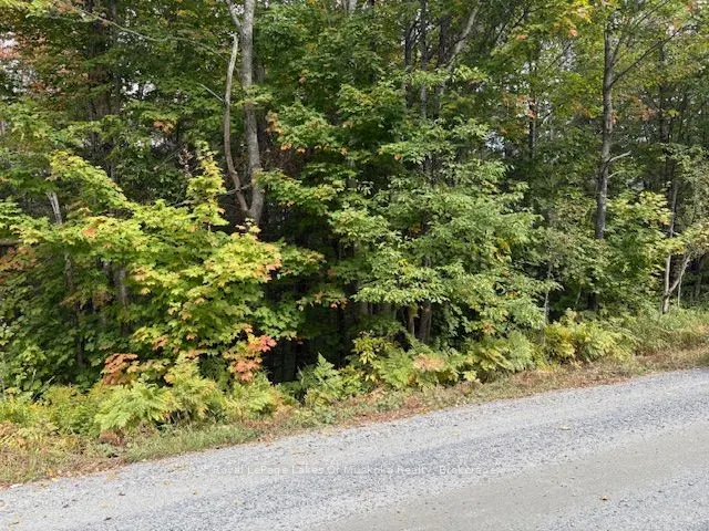0 Boundary Road