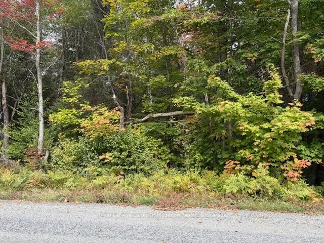0 Boundary Road