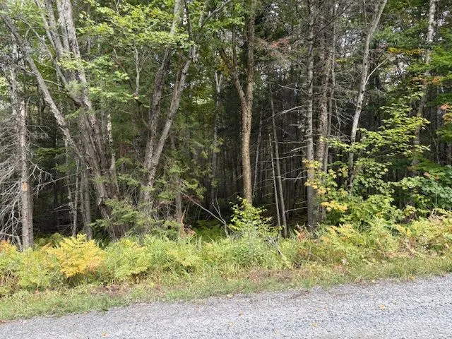 0 Boundary Road