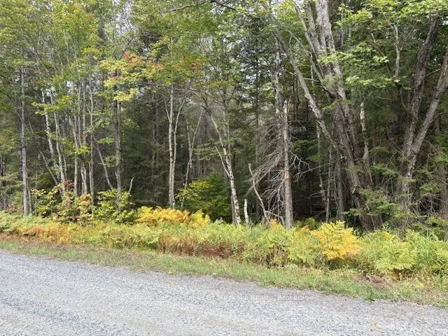 0 Boundary Road