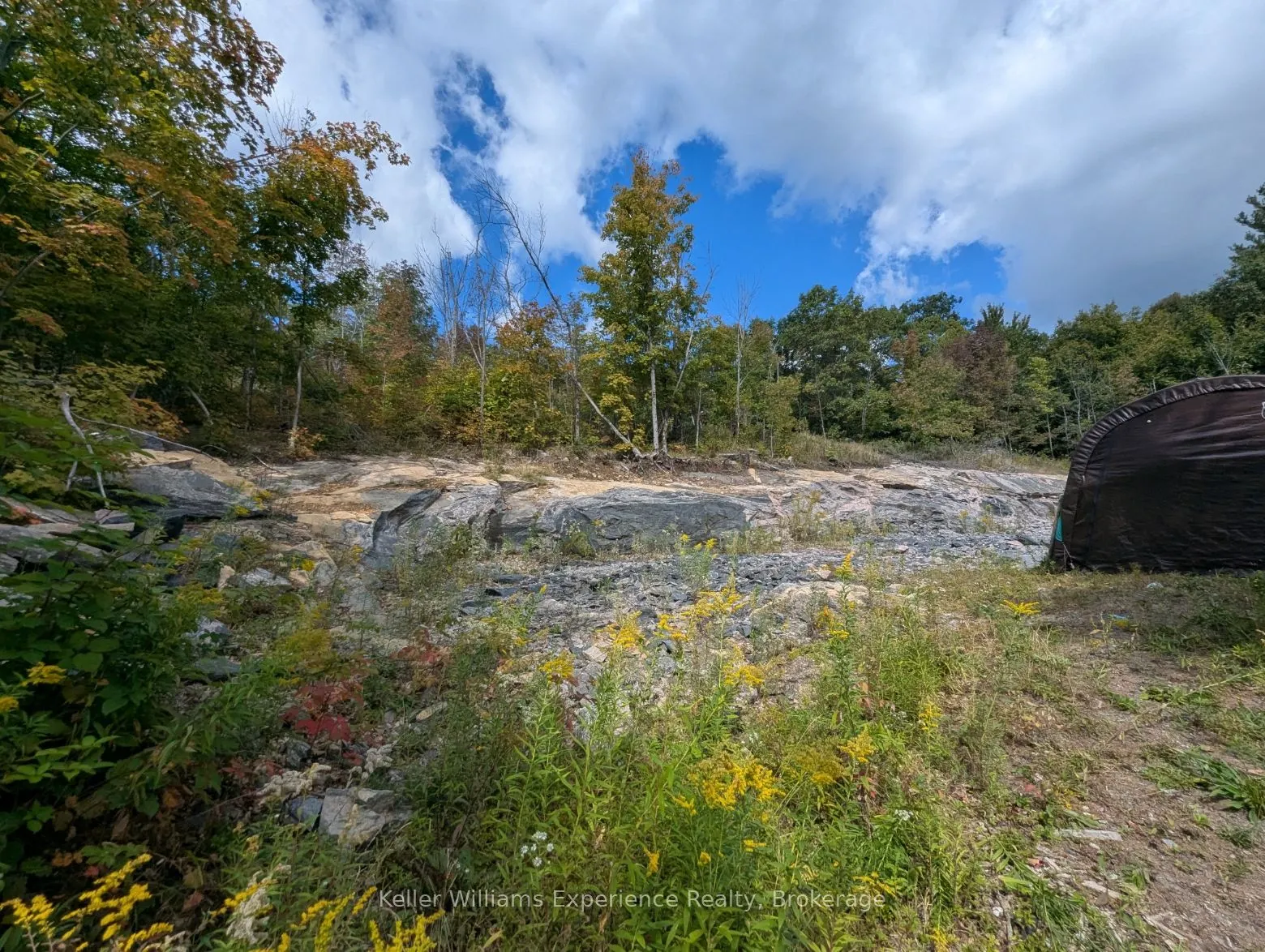 1681 Muskoka Beach Road