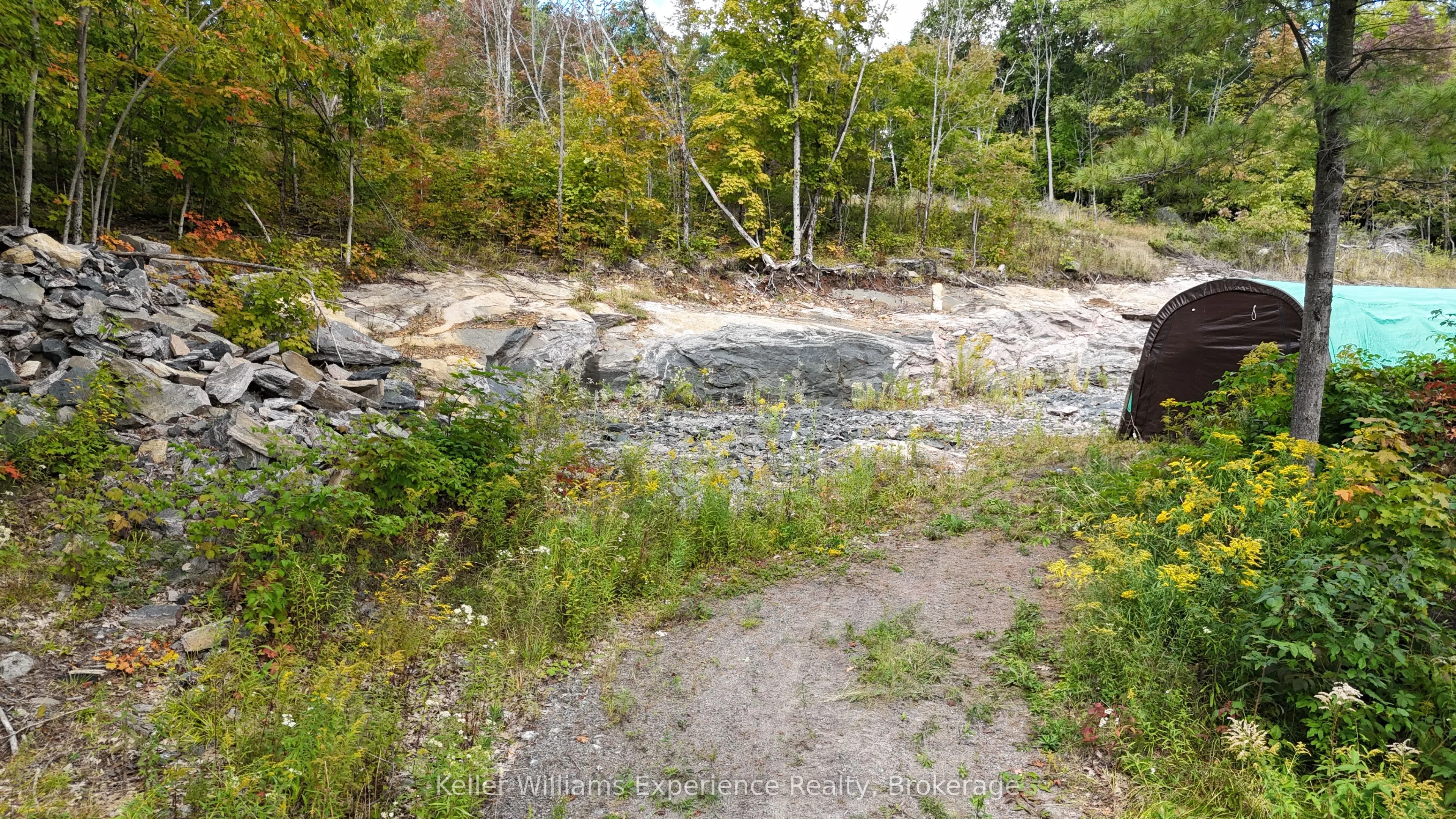 1681 Muskoka Beach Road