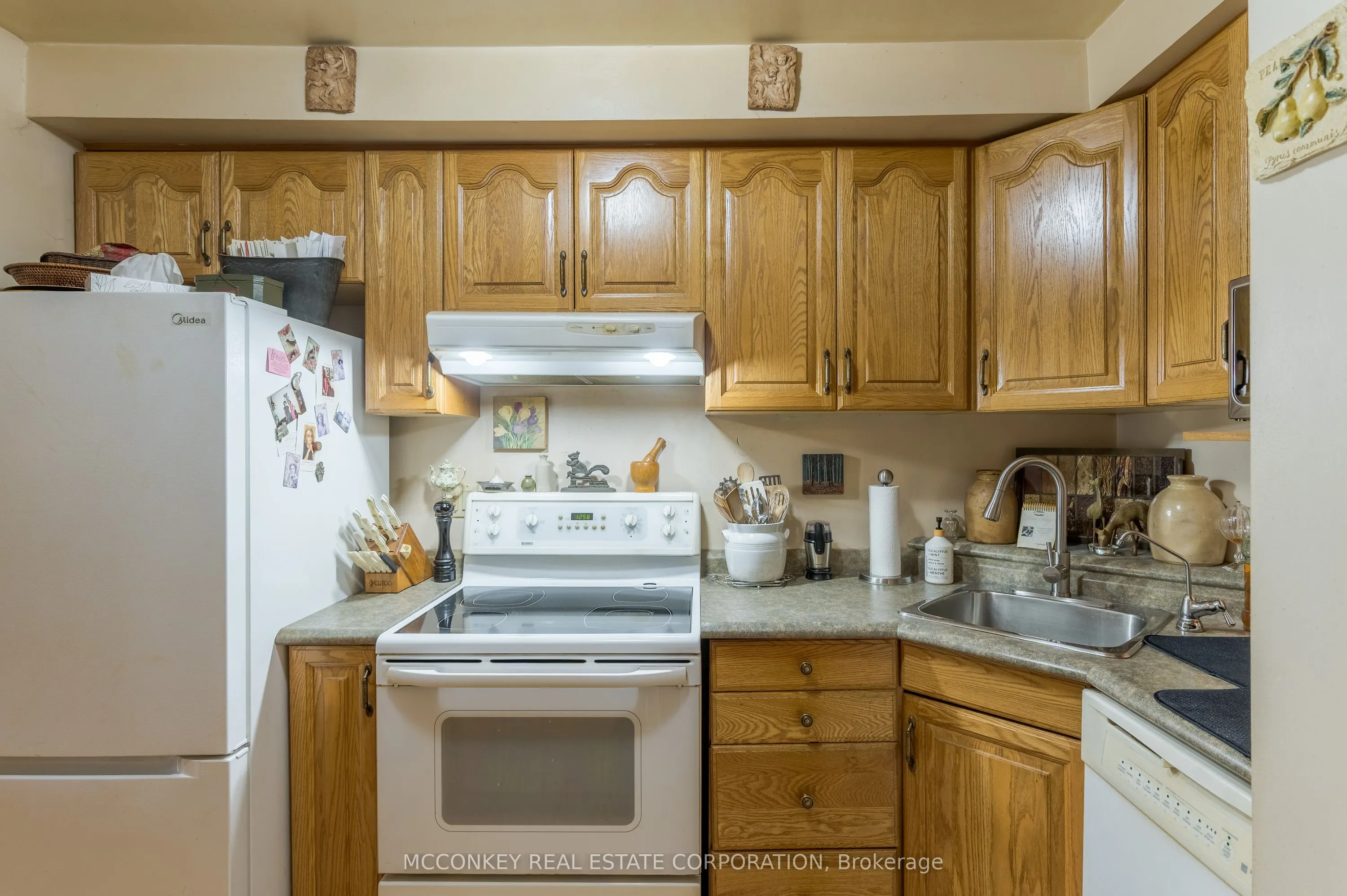 740 Chamberlain Street W, #11