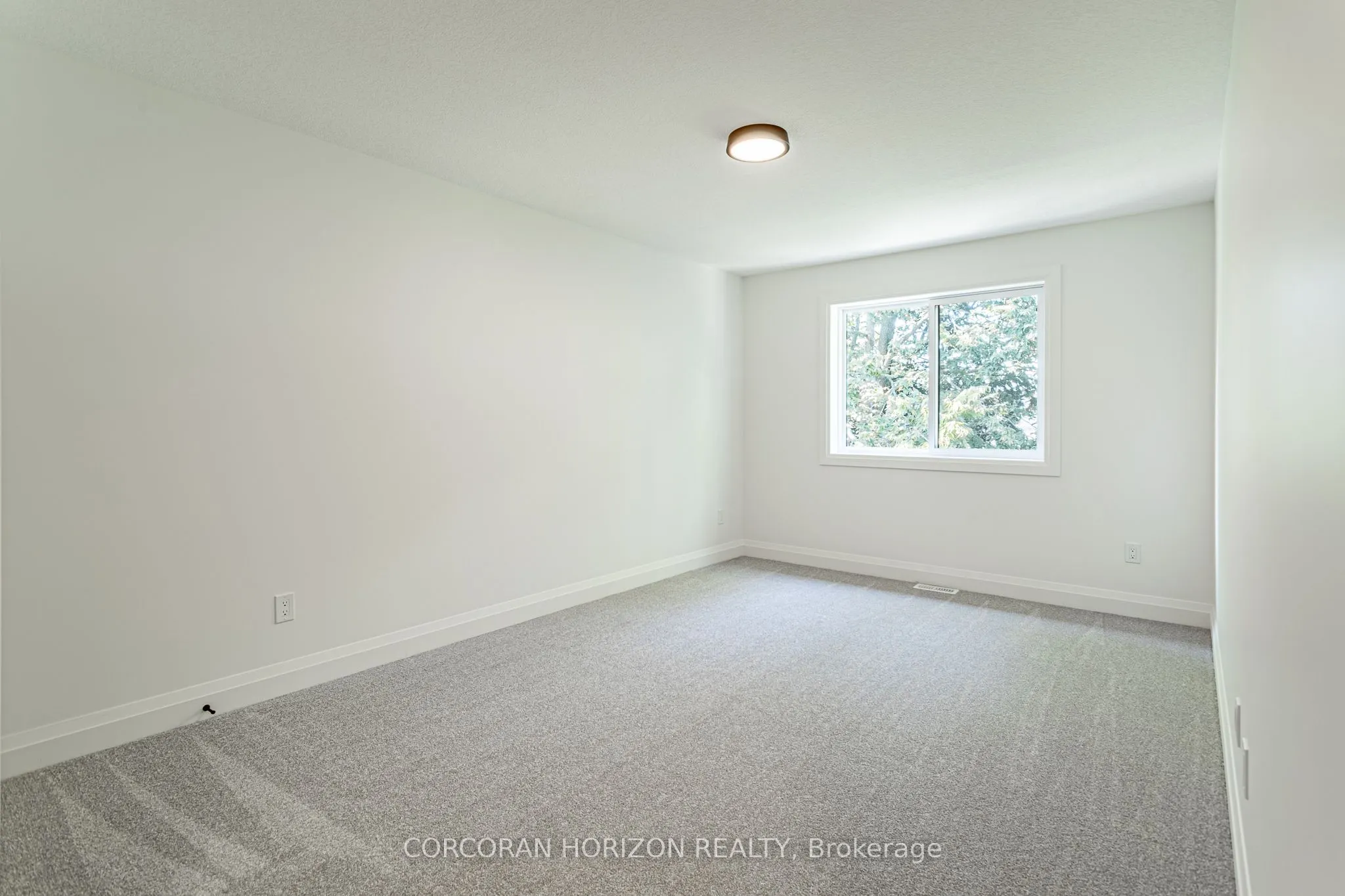 3 Balsam Street, #C