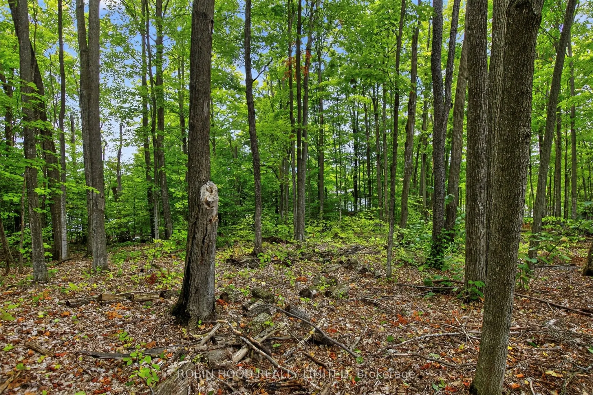 1348 County Road 4