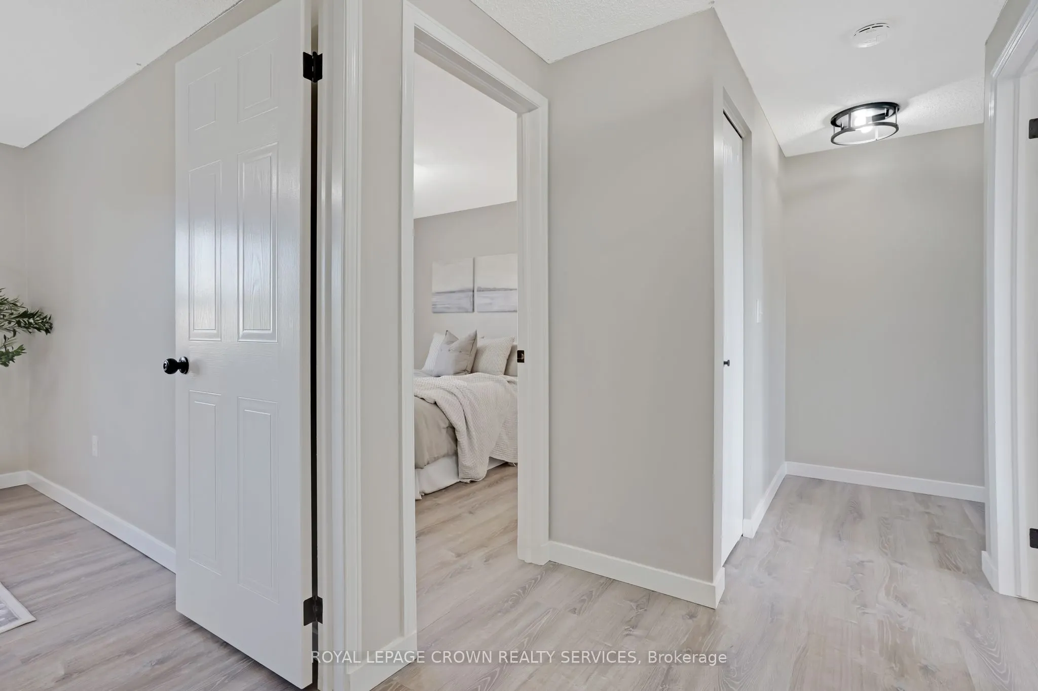 20 Elma Place
