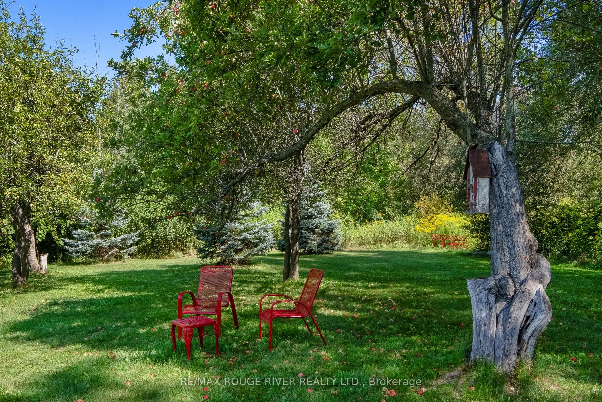 3622 Alnwick Hills Road