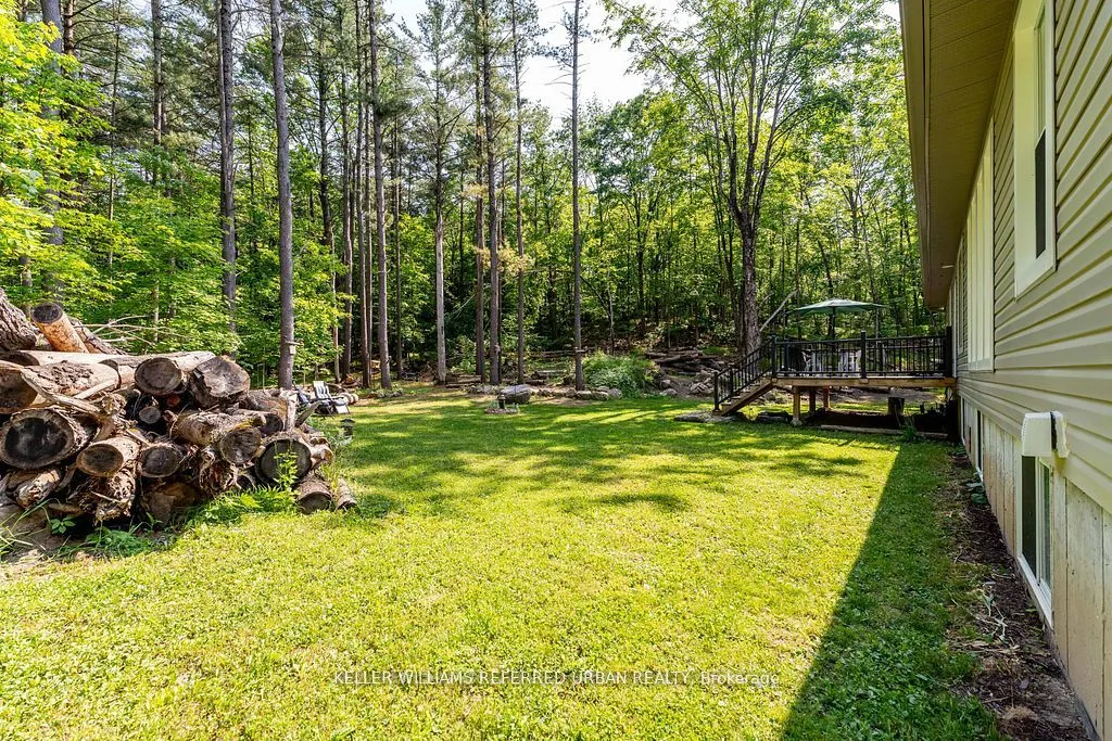 51 Pine Grove Road