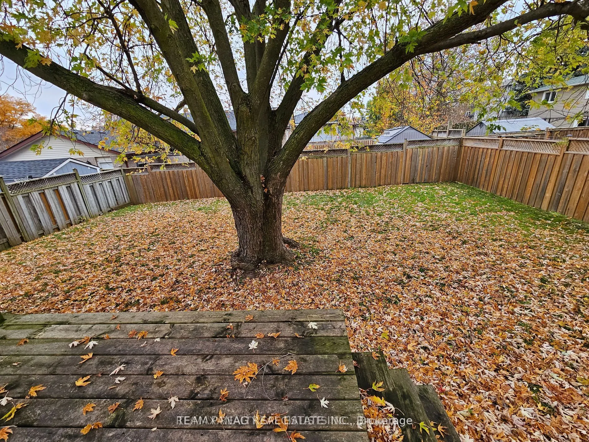 106 Millwood Crescent