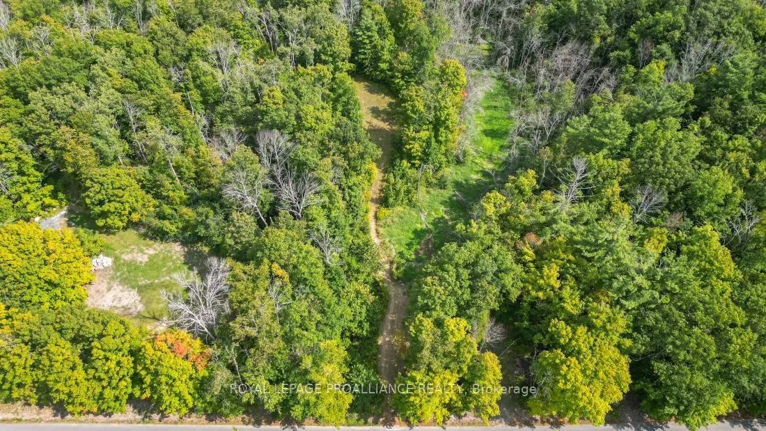 316 High Shore Road