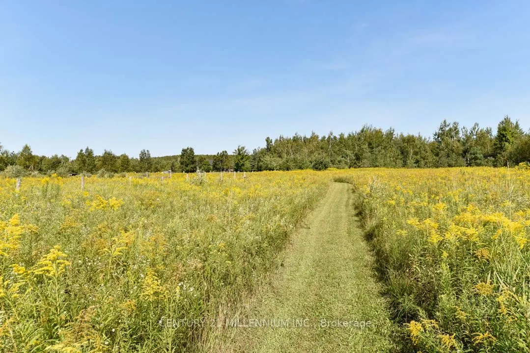 387091 20th Side Road