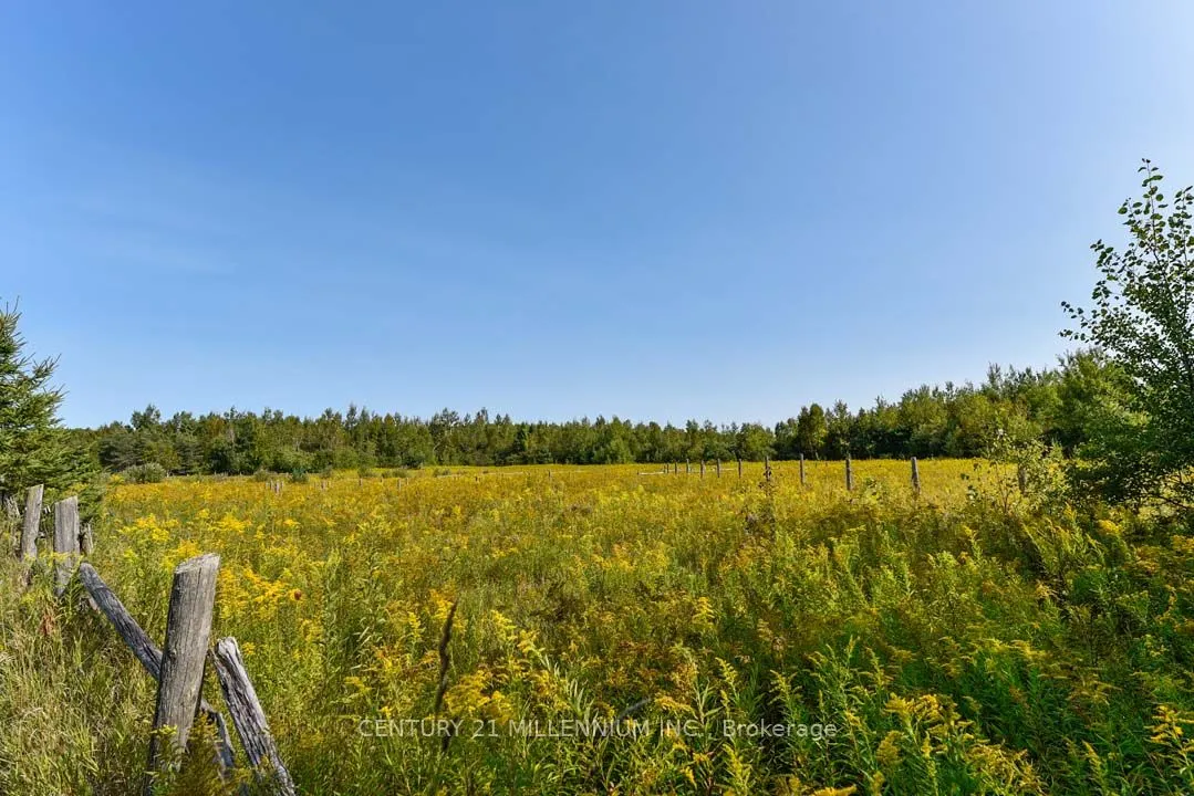 387091 20th Side Road