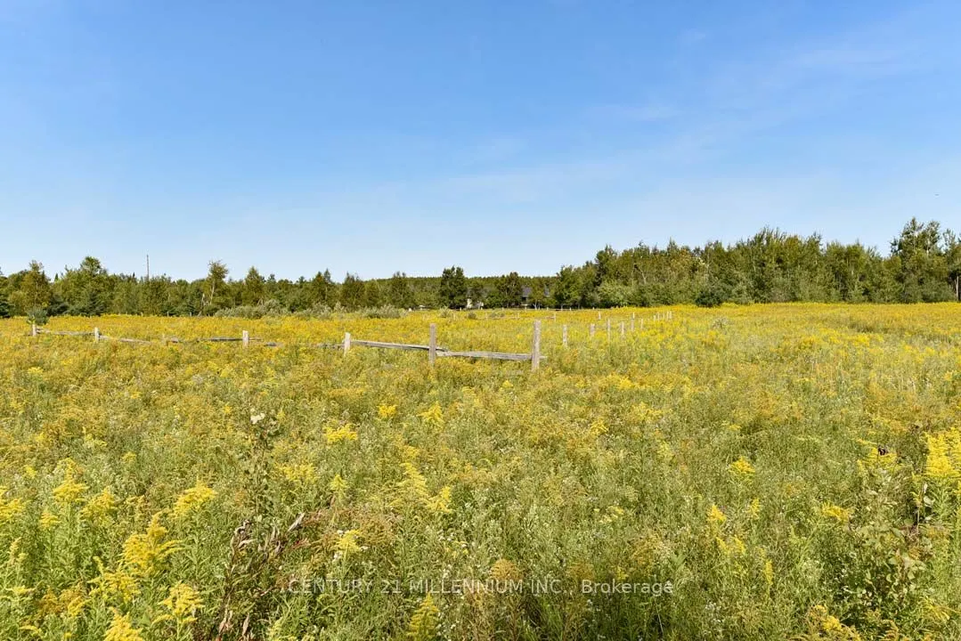 387091 20th Side Road