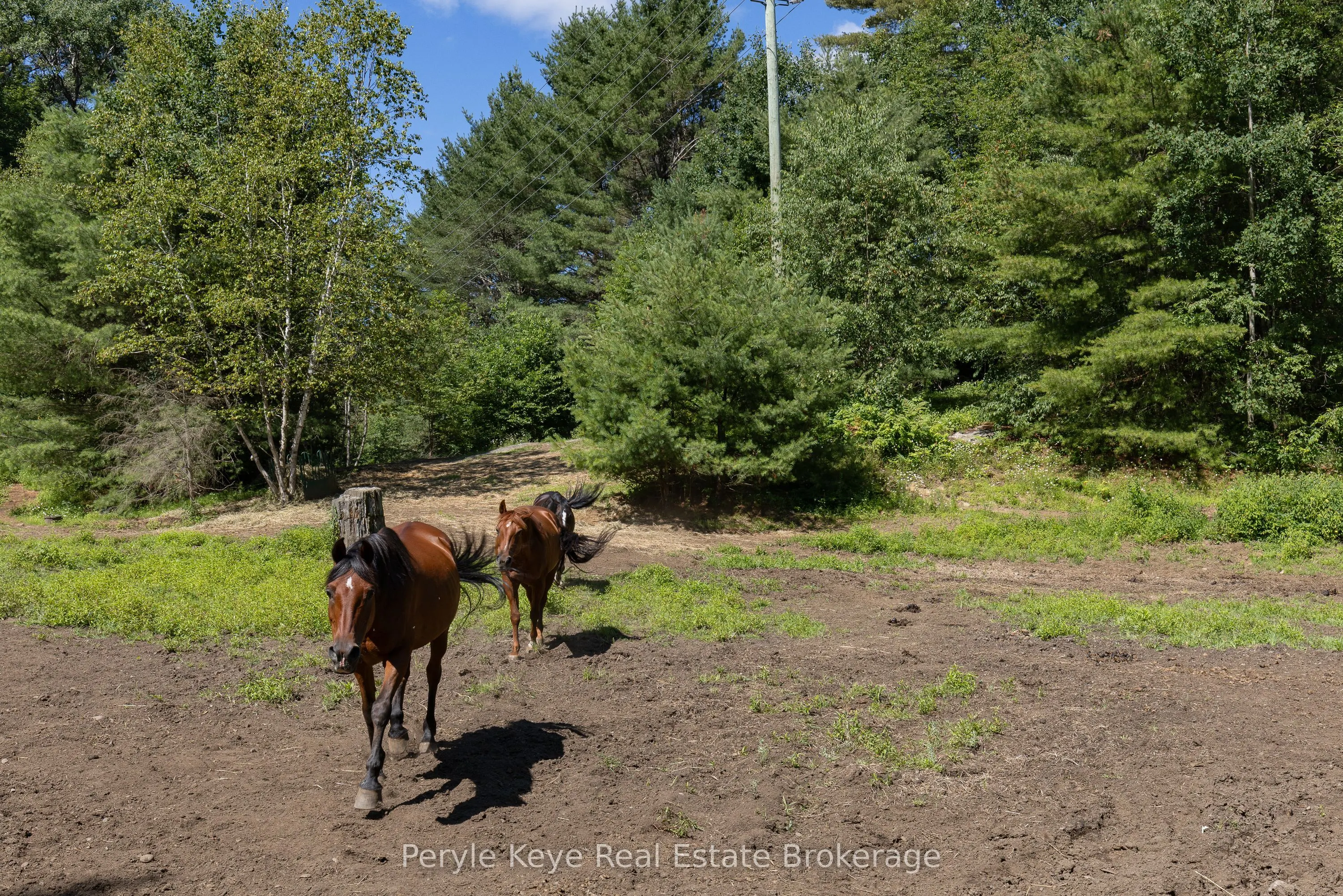 2322 Old Muskoka Road