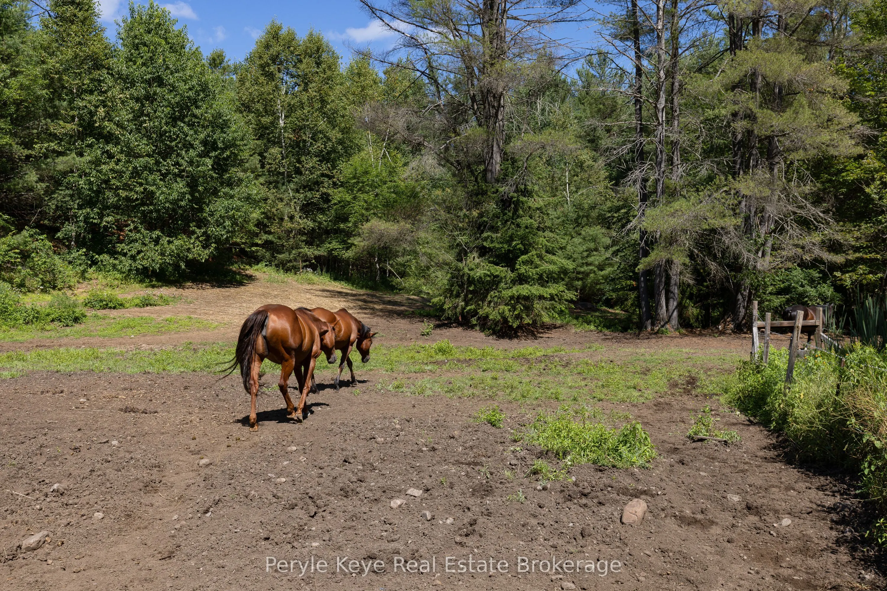 2322 Old Muskoka Road