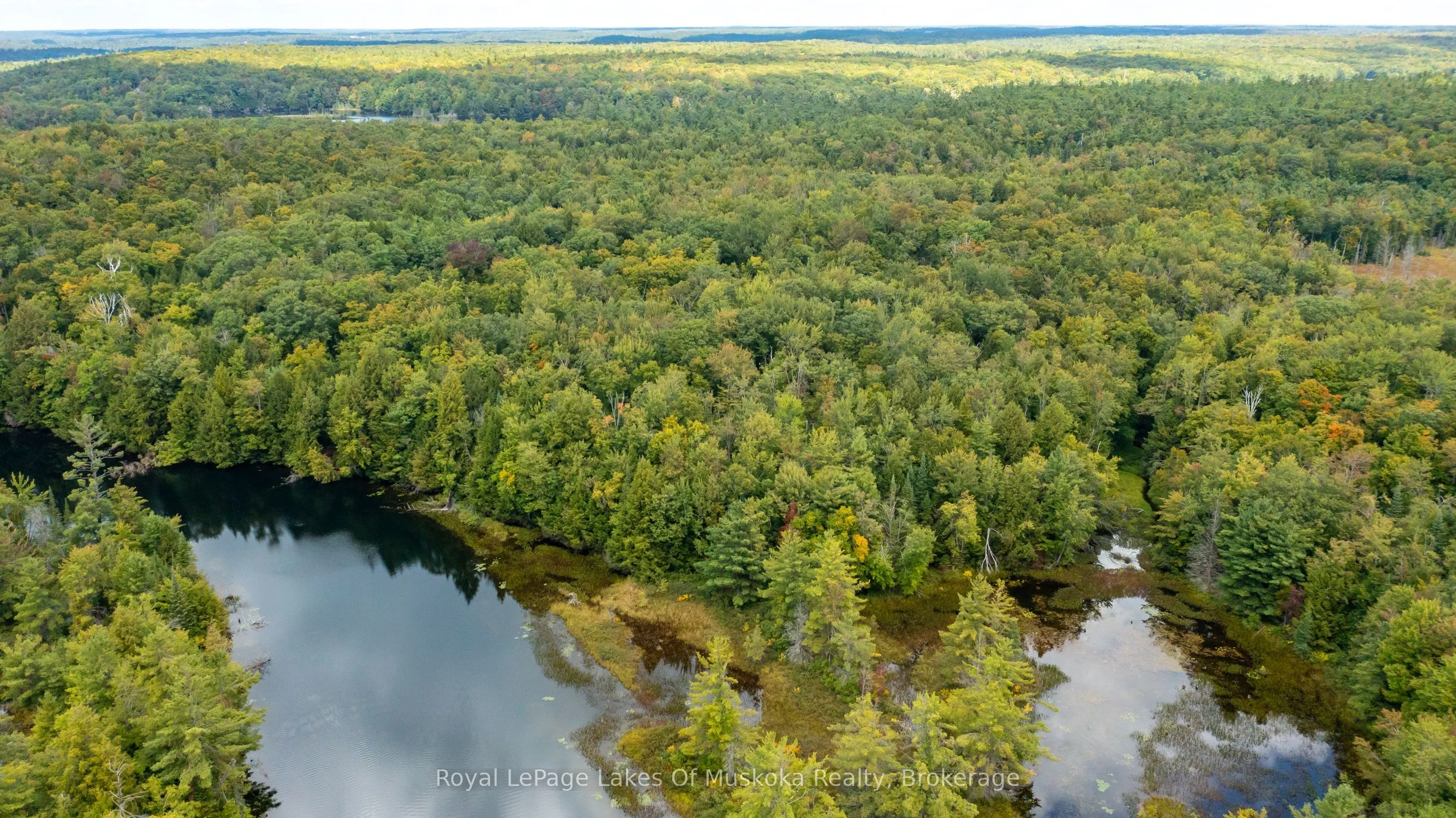 0 Muskoka River