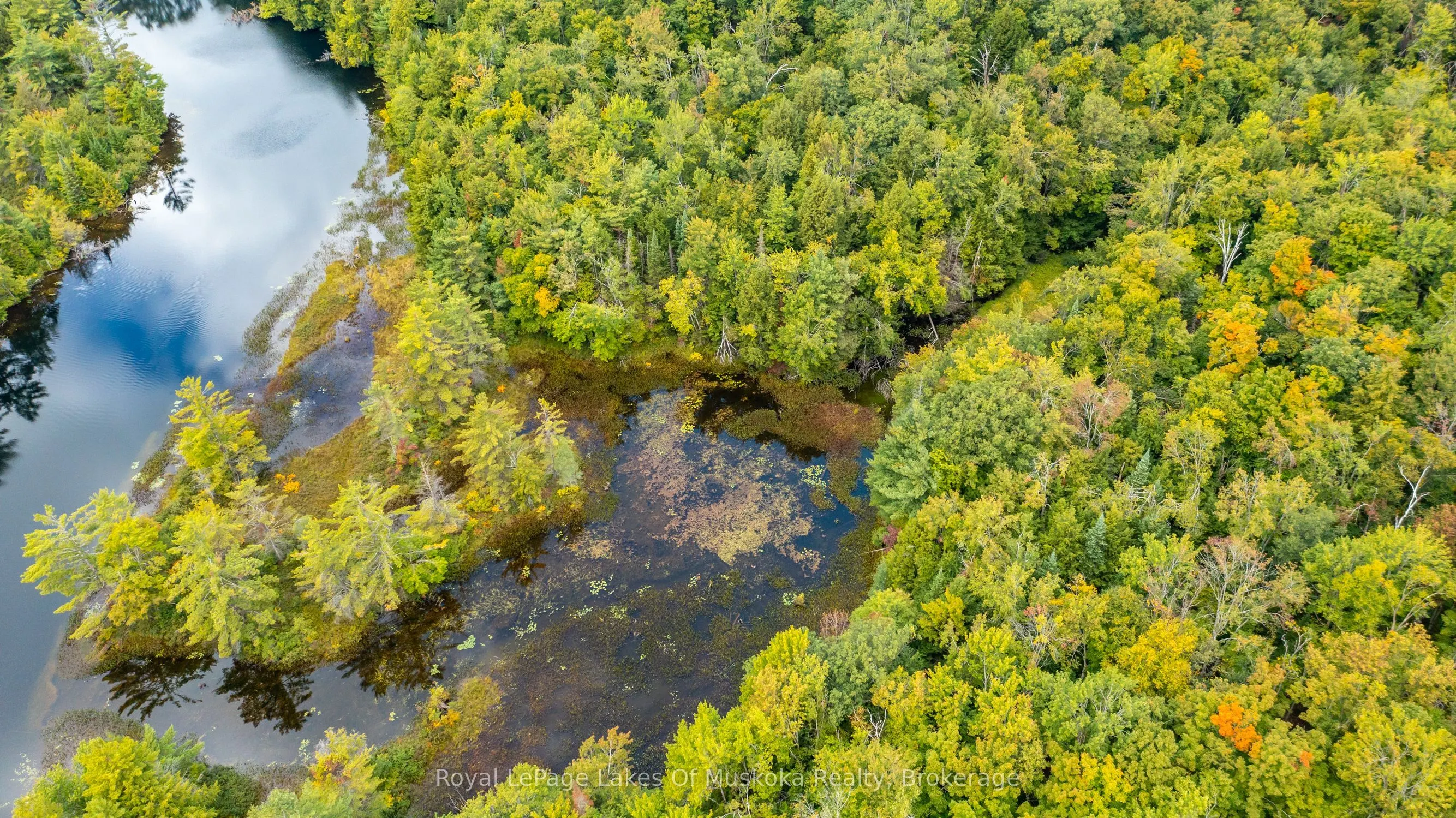 0 Muskoka River