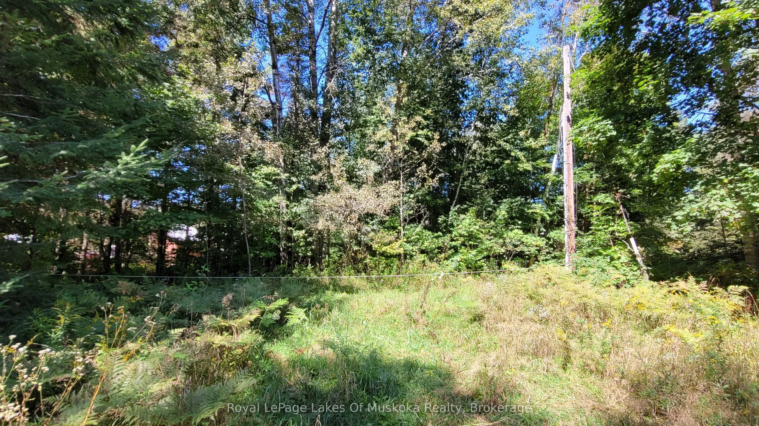 1059 Ablett Court
