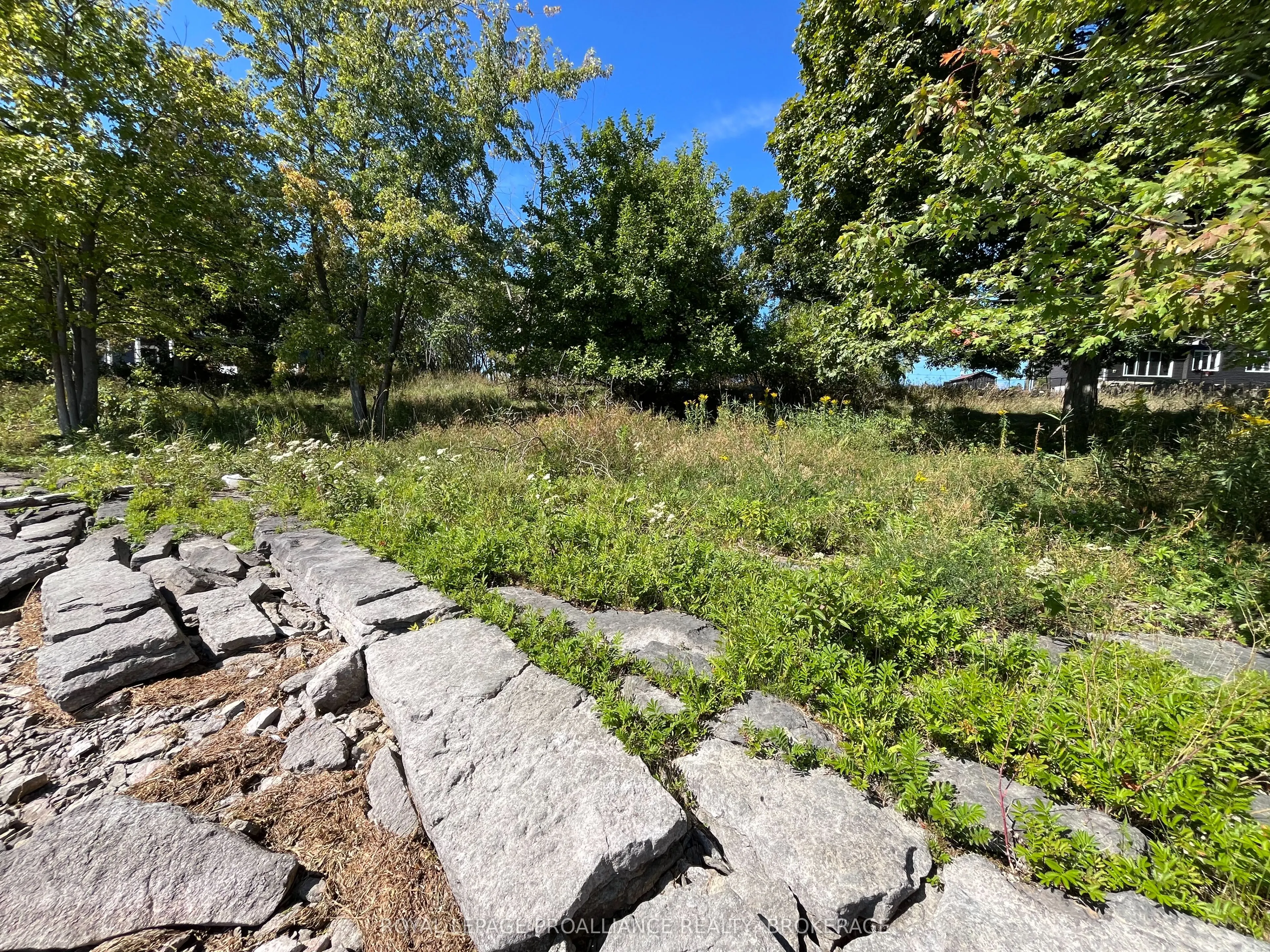 Lot 10 Elizabeth Street