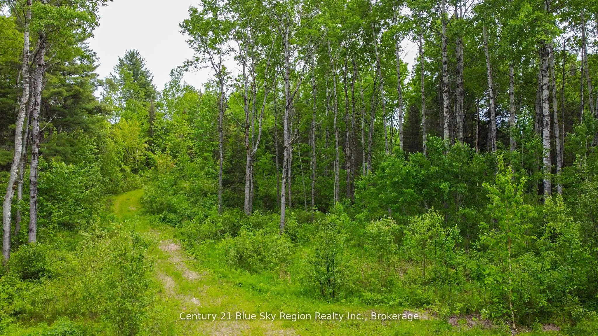 2647C Highway 17 E