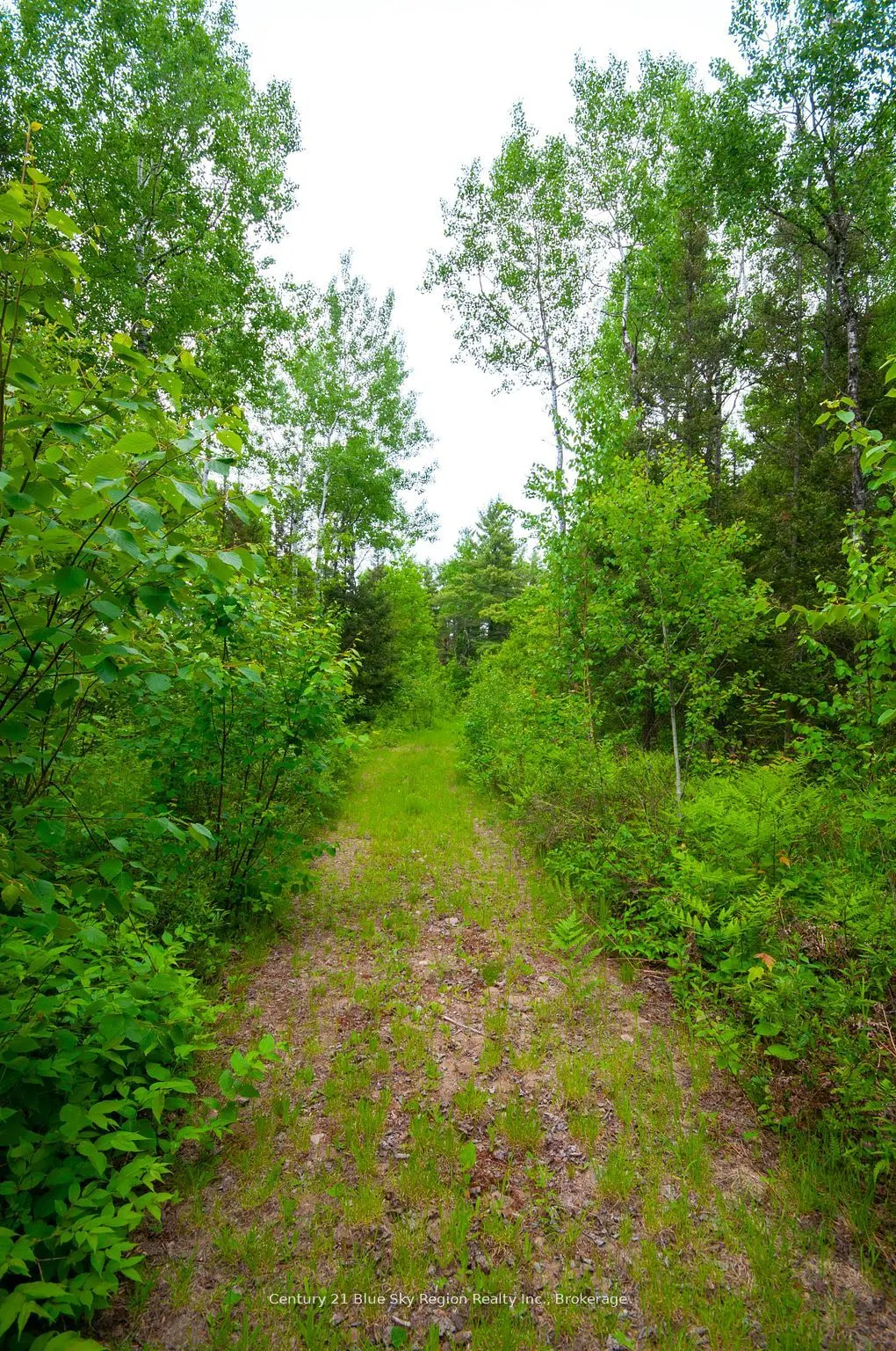 2647C Highway 17 E
