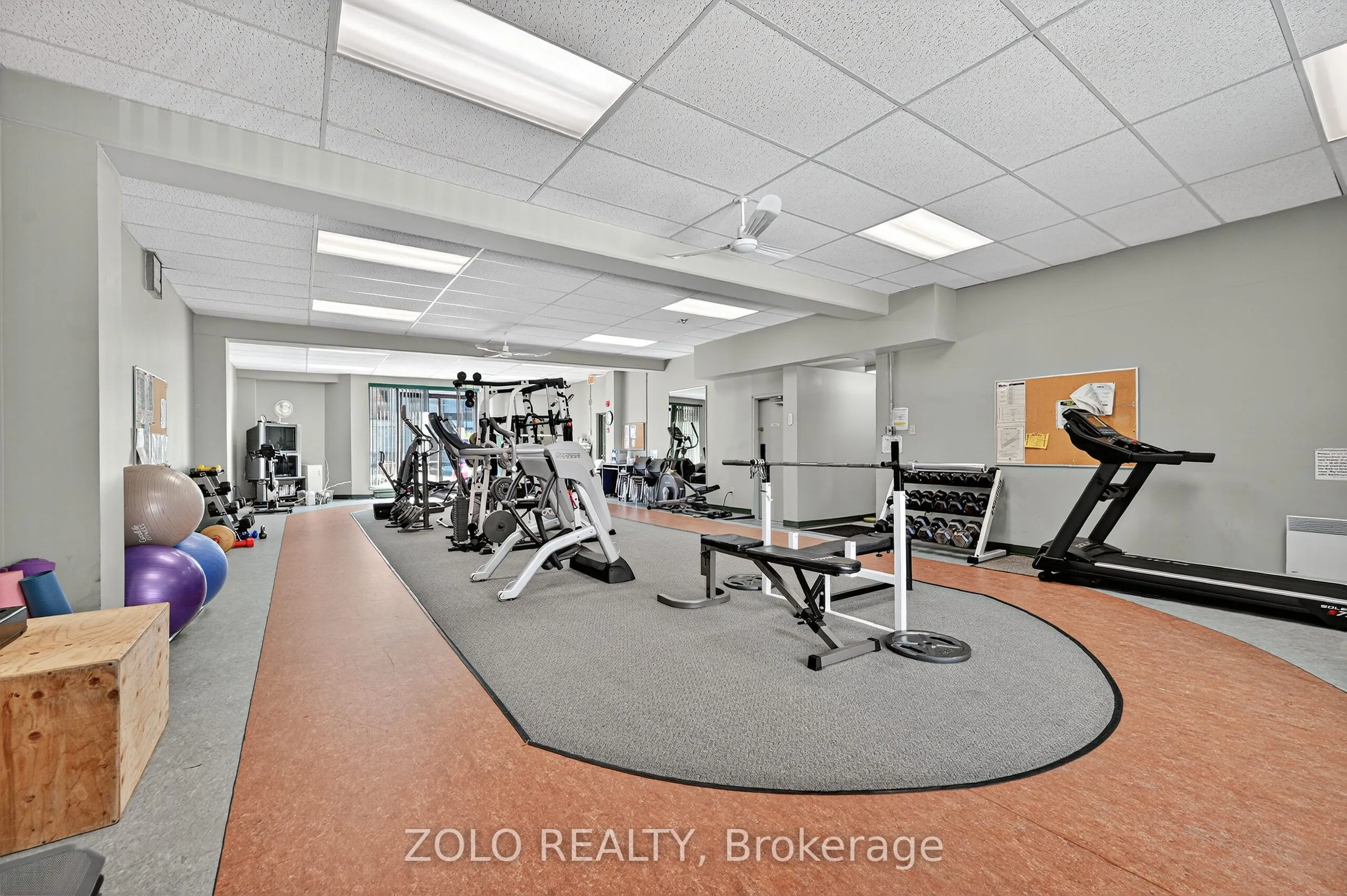 50 Emmerson Avenue, #501