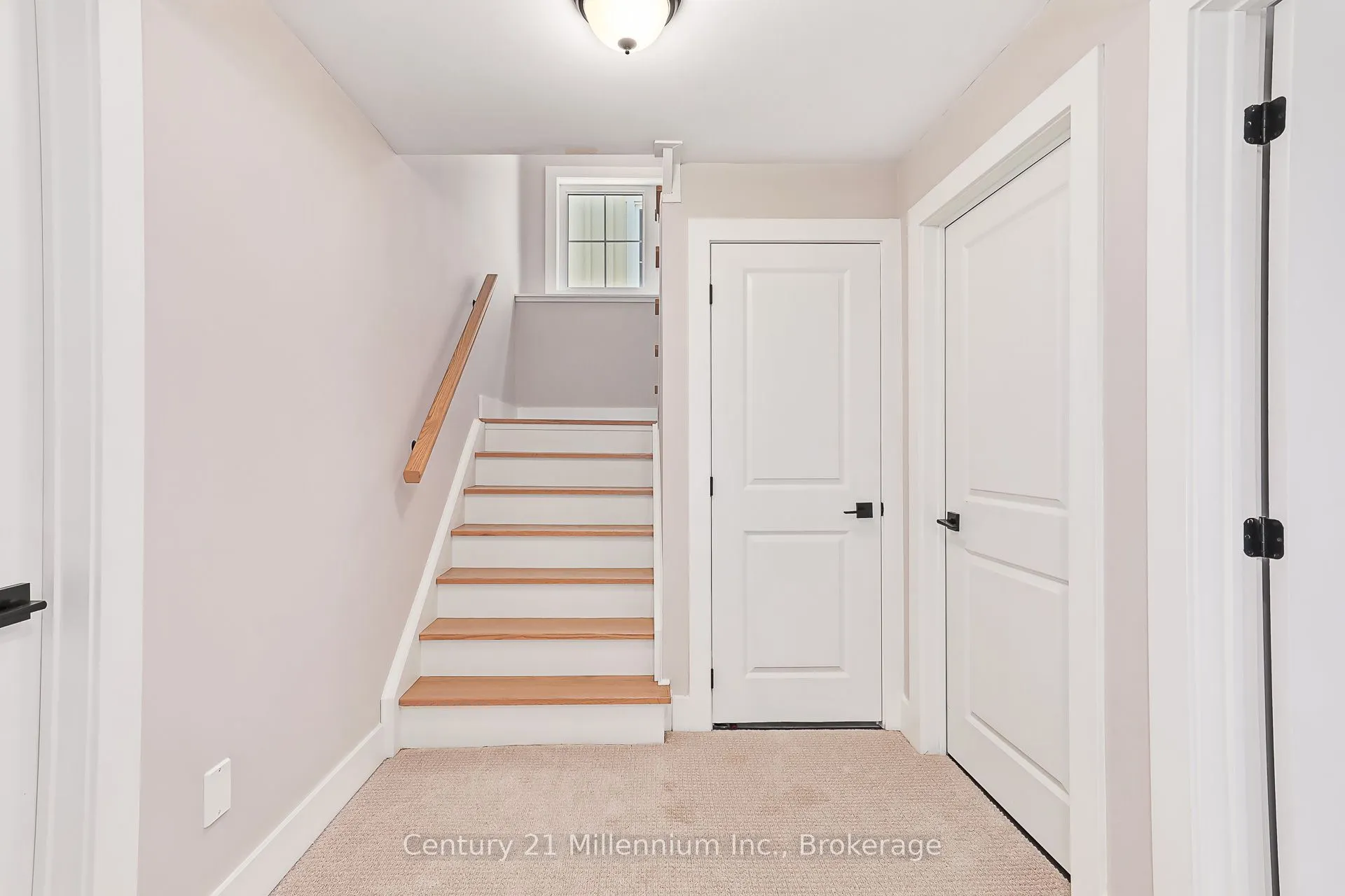 135 Sycamore Street