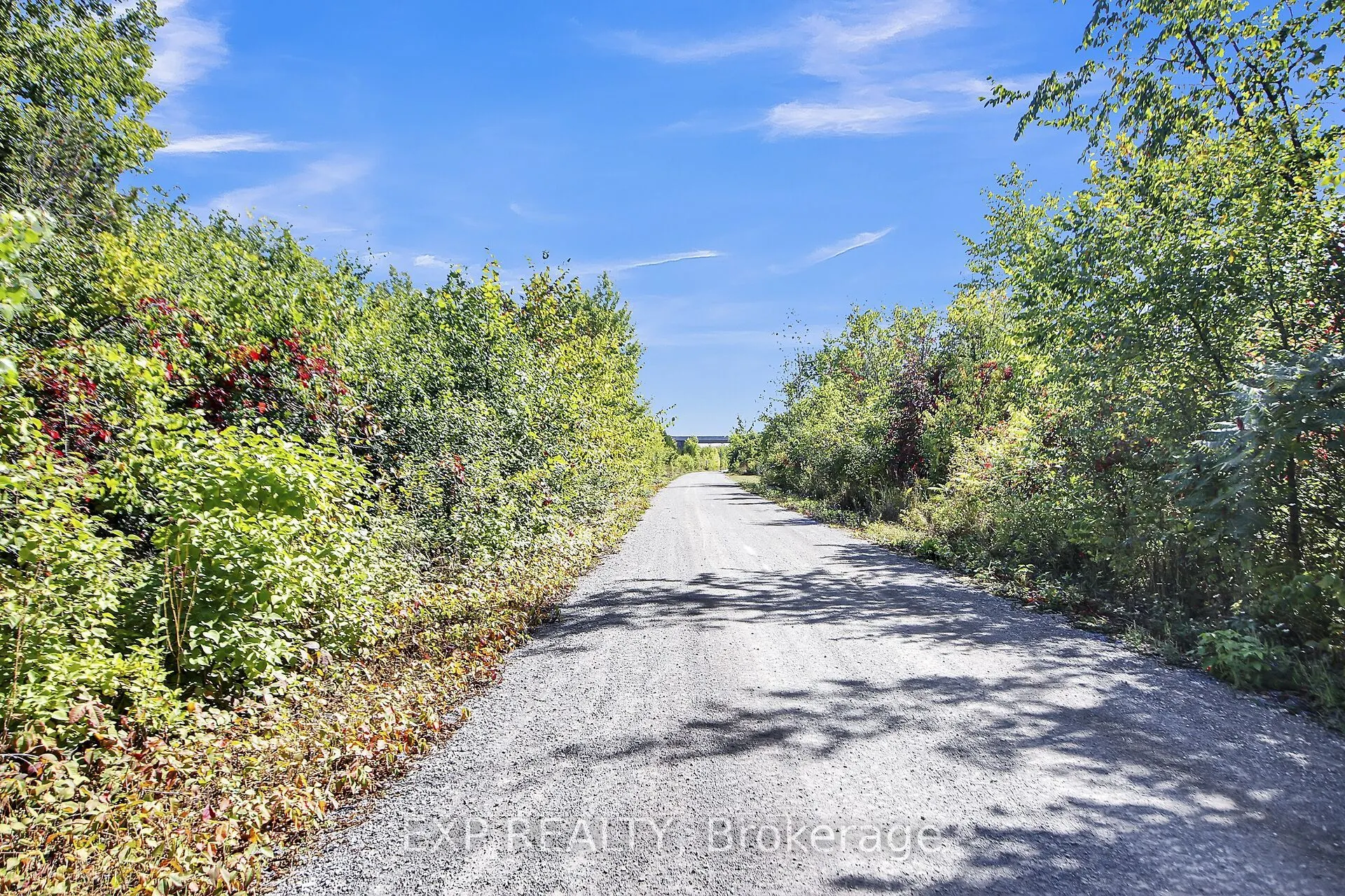 97 Findlay Avenue, #A1