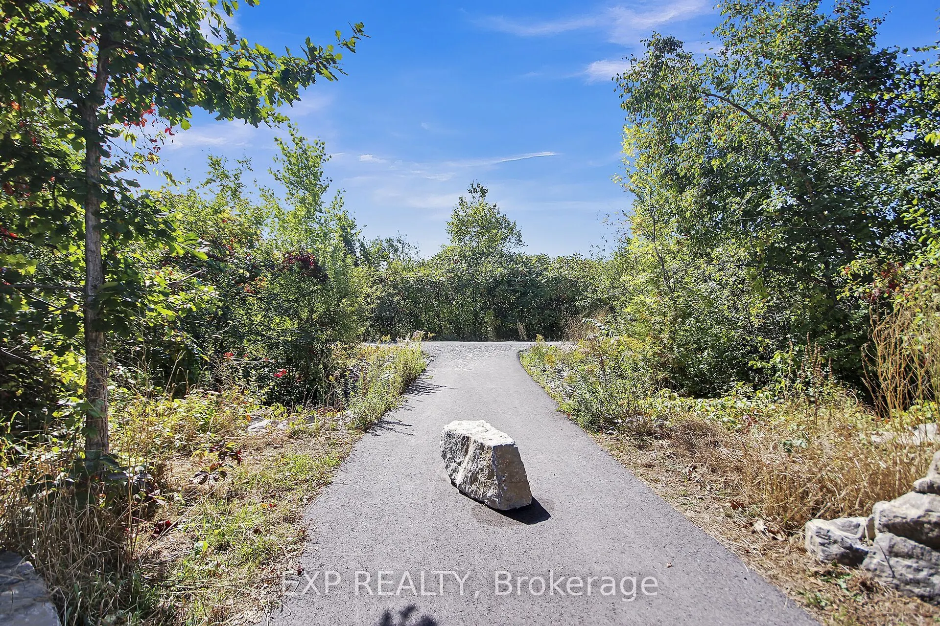 97 Findlay Avenue, #A1