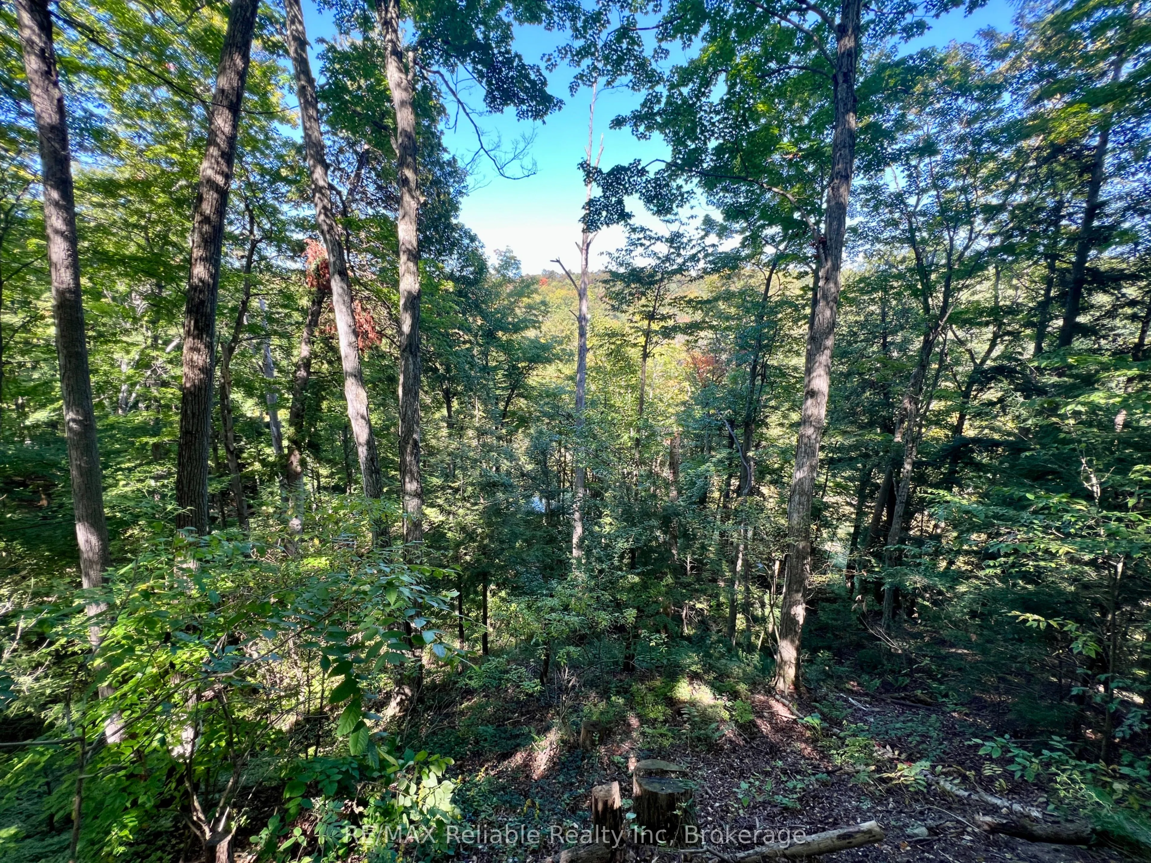 76735 Wildwood Line, #19