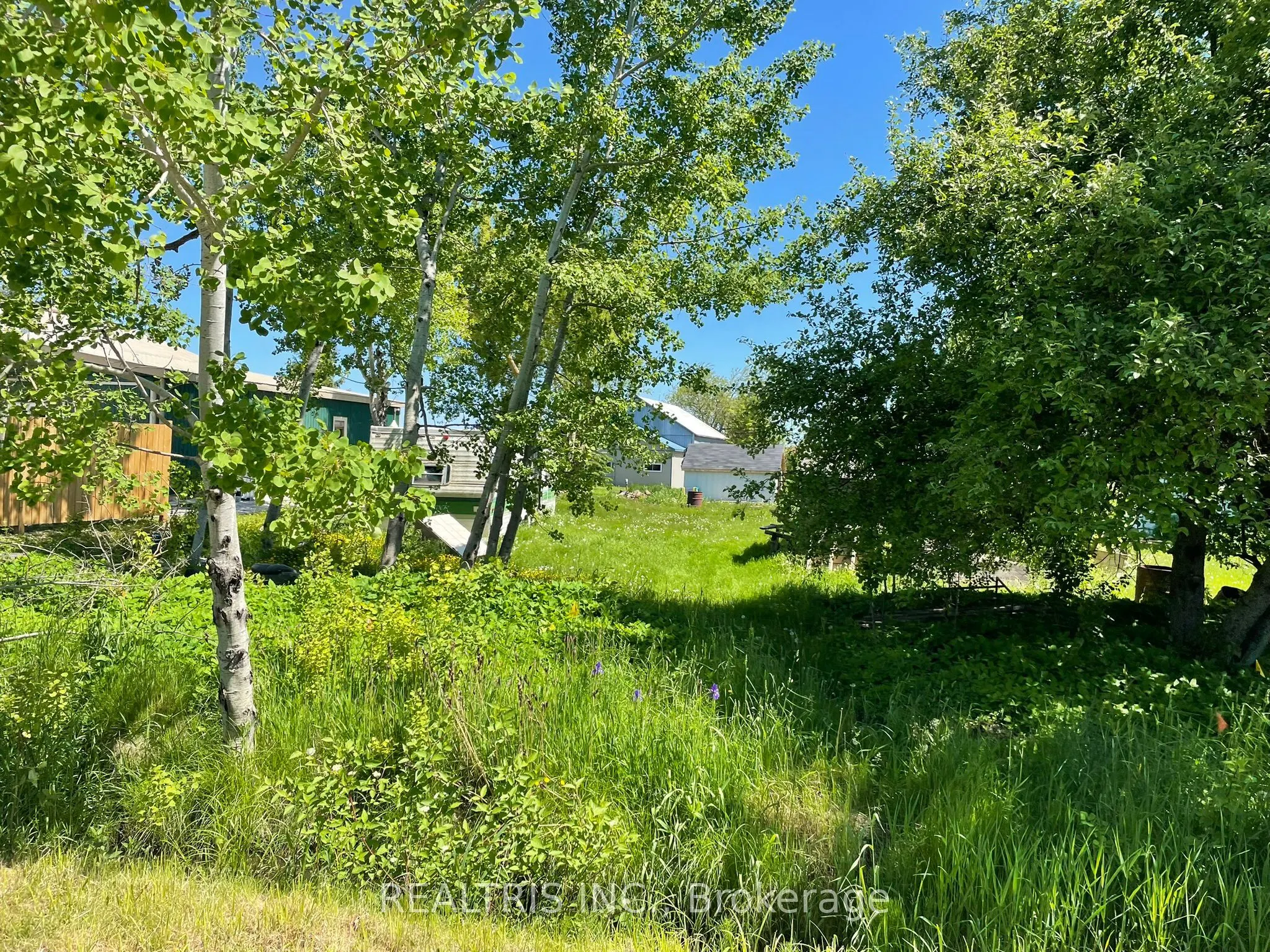 682419 260 Side Road