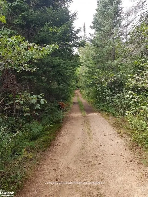 336 Rain Lake Road