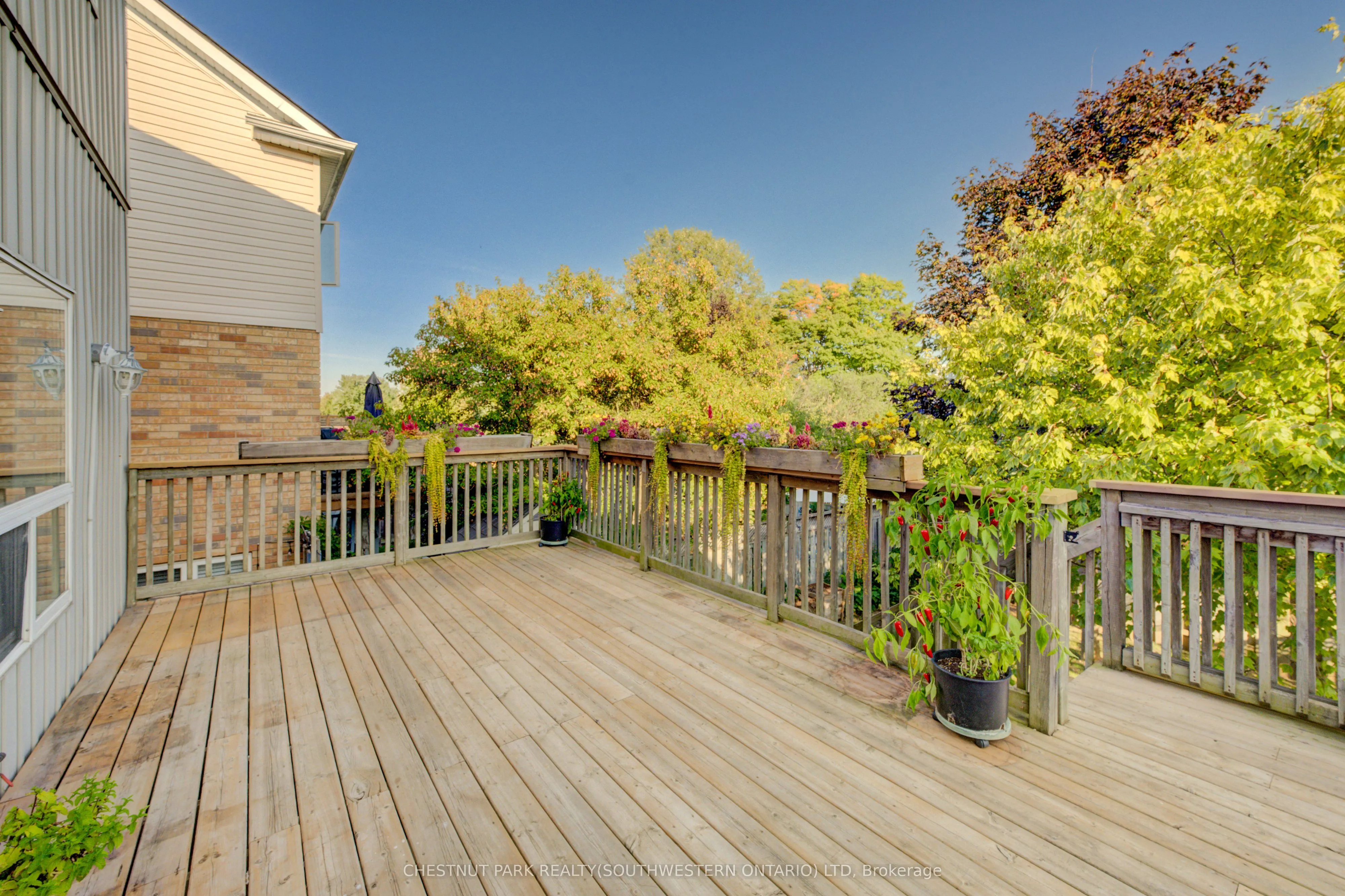 15 Pettitt Drive