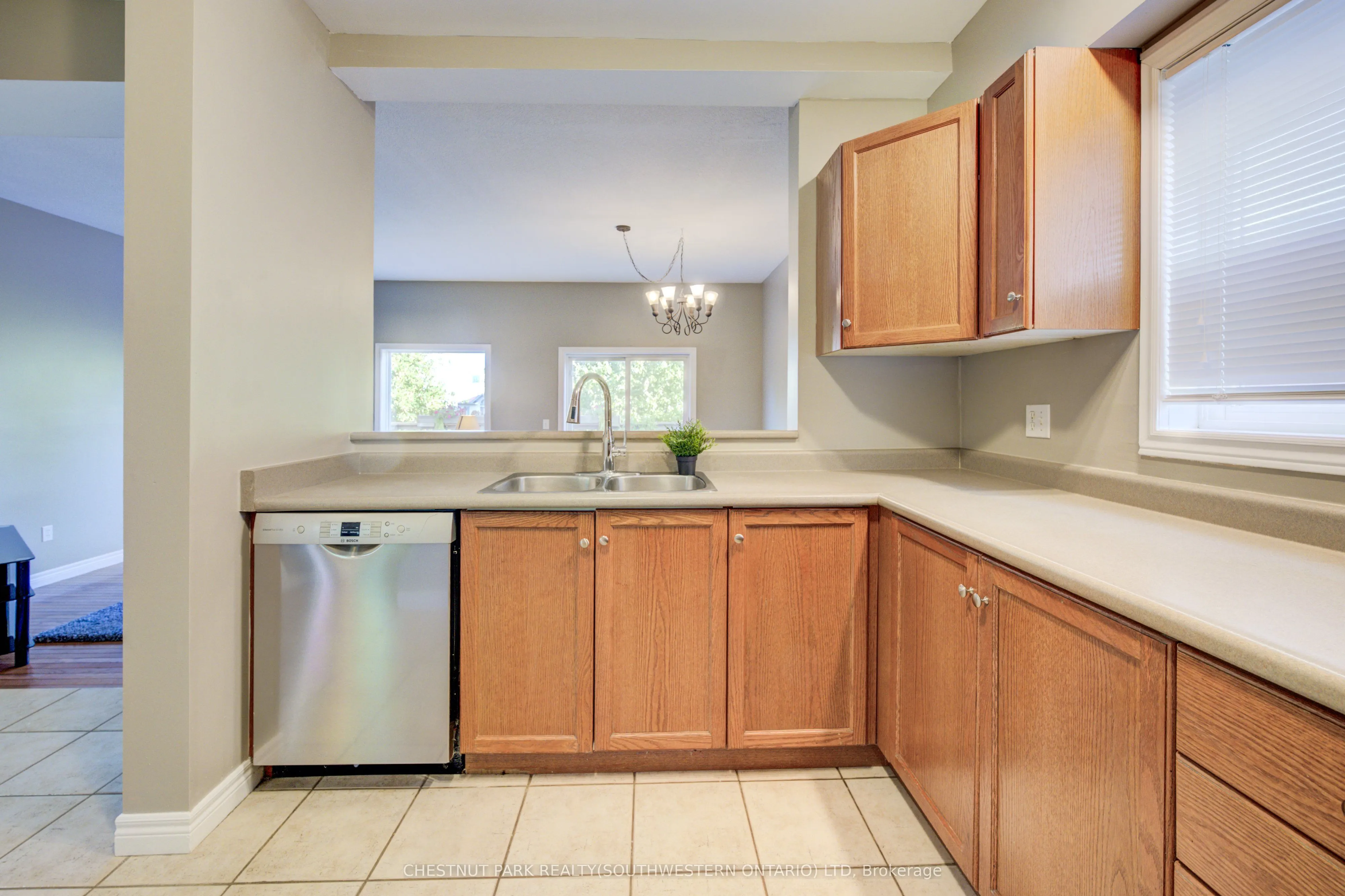 15 Pettitt Drive