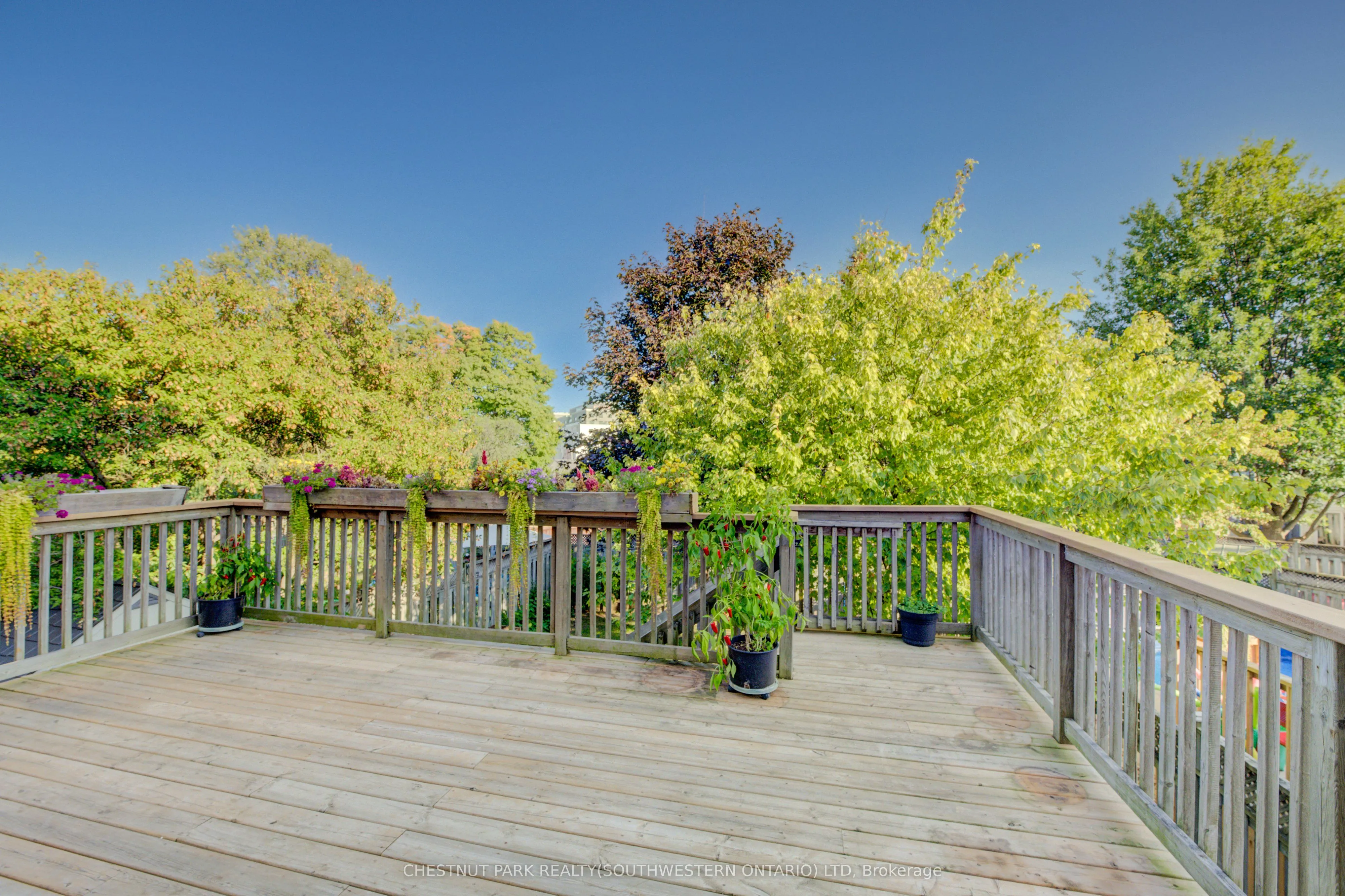 15 Pettitt Drive
