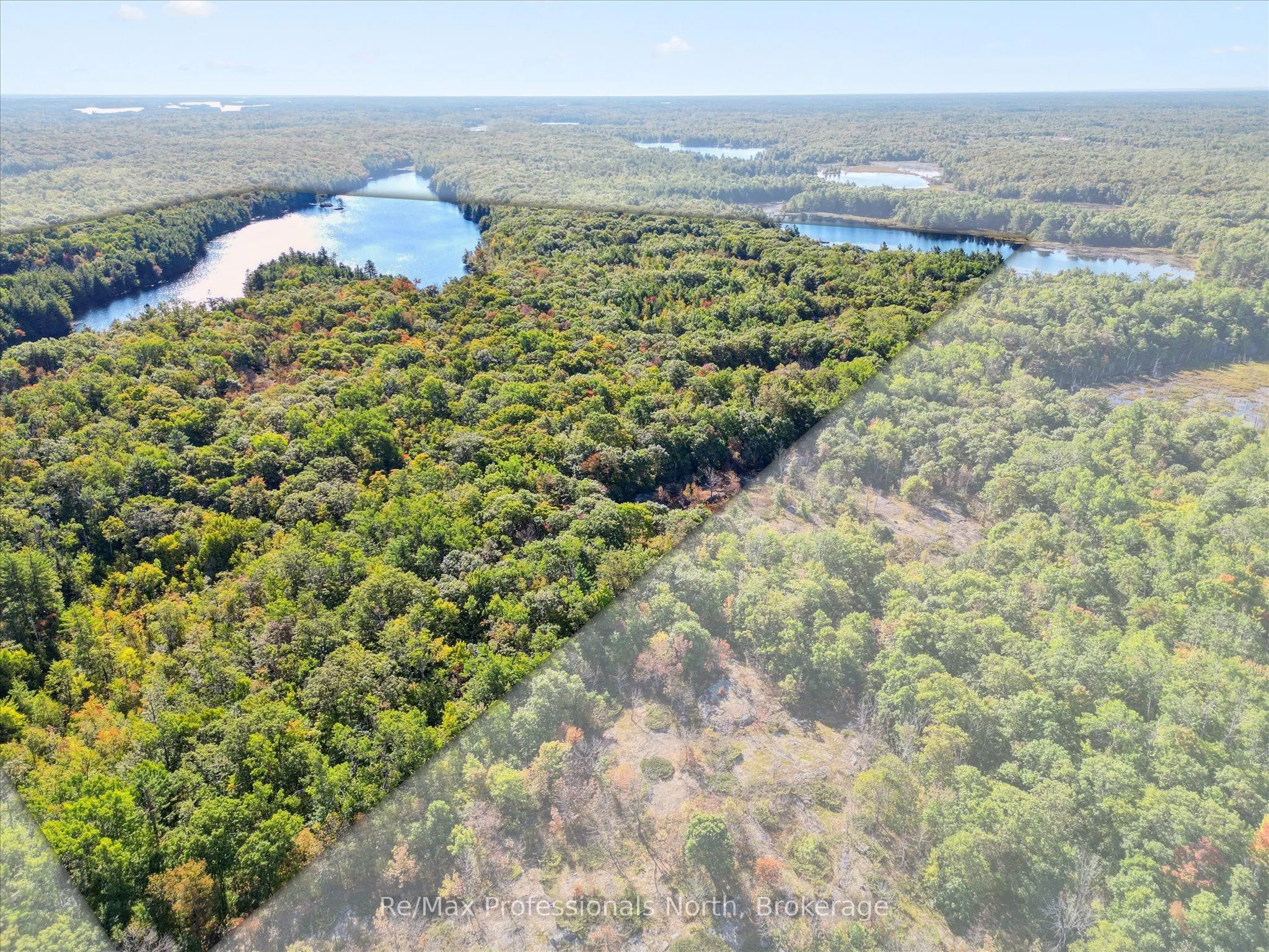 Medora Lots 9 & 10 Concession 4, Lots 7 & 8 Concession 5 Acres