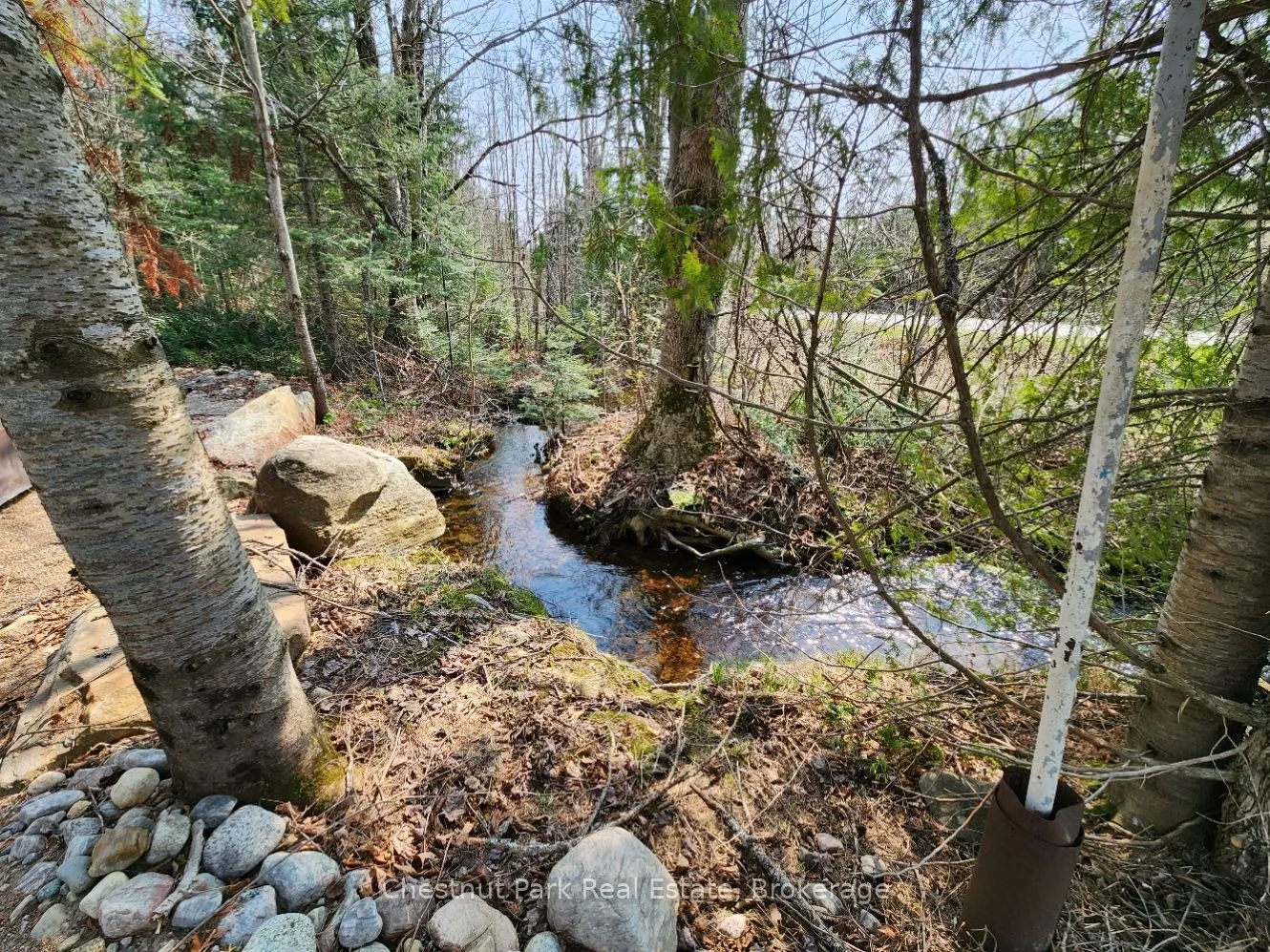 730 Echo Ridge Road