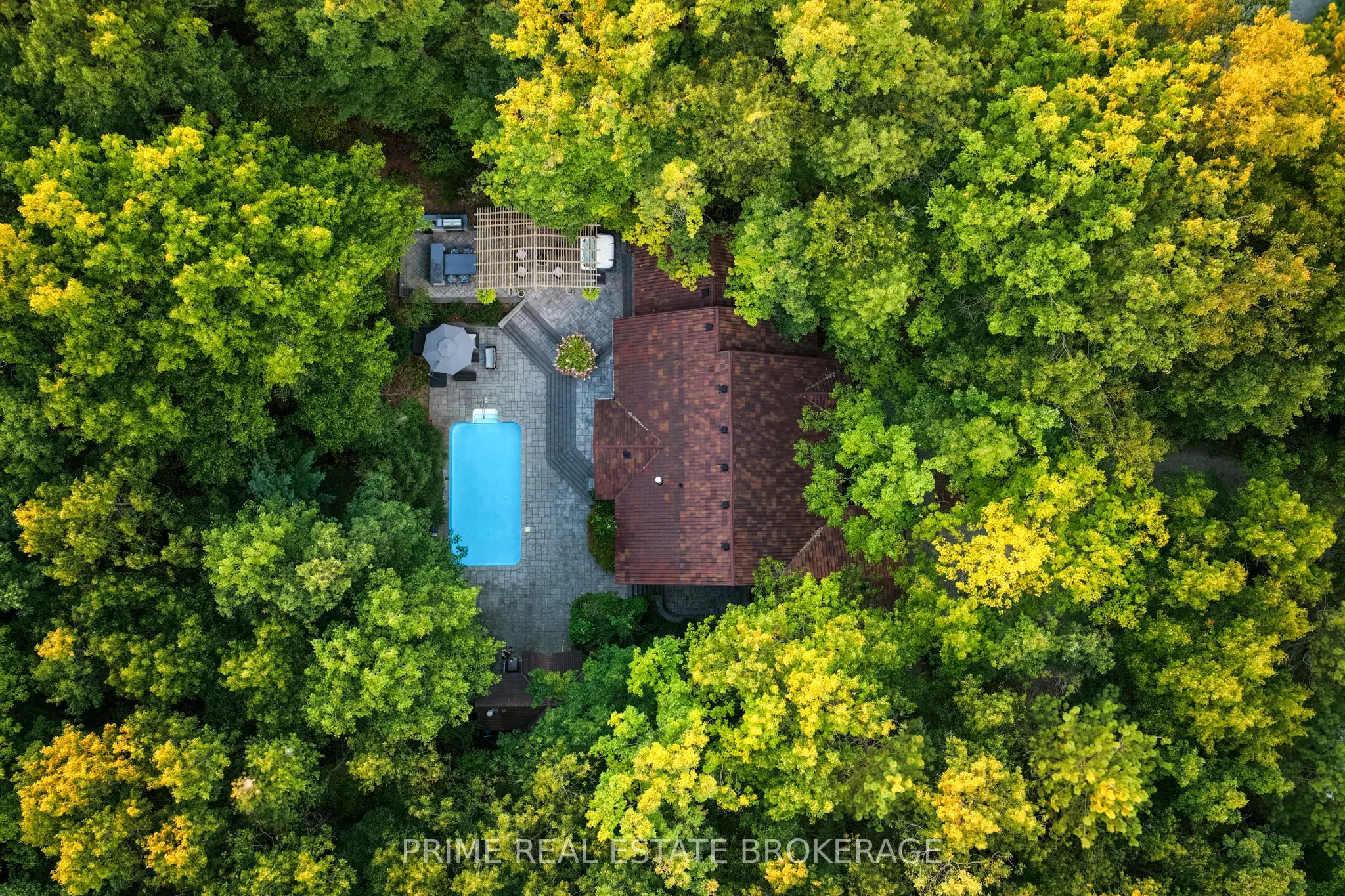 10219 Pinetree Drive
