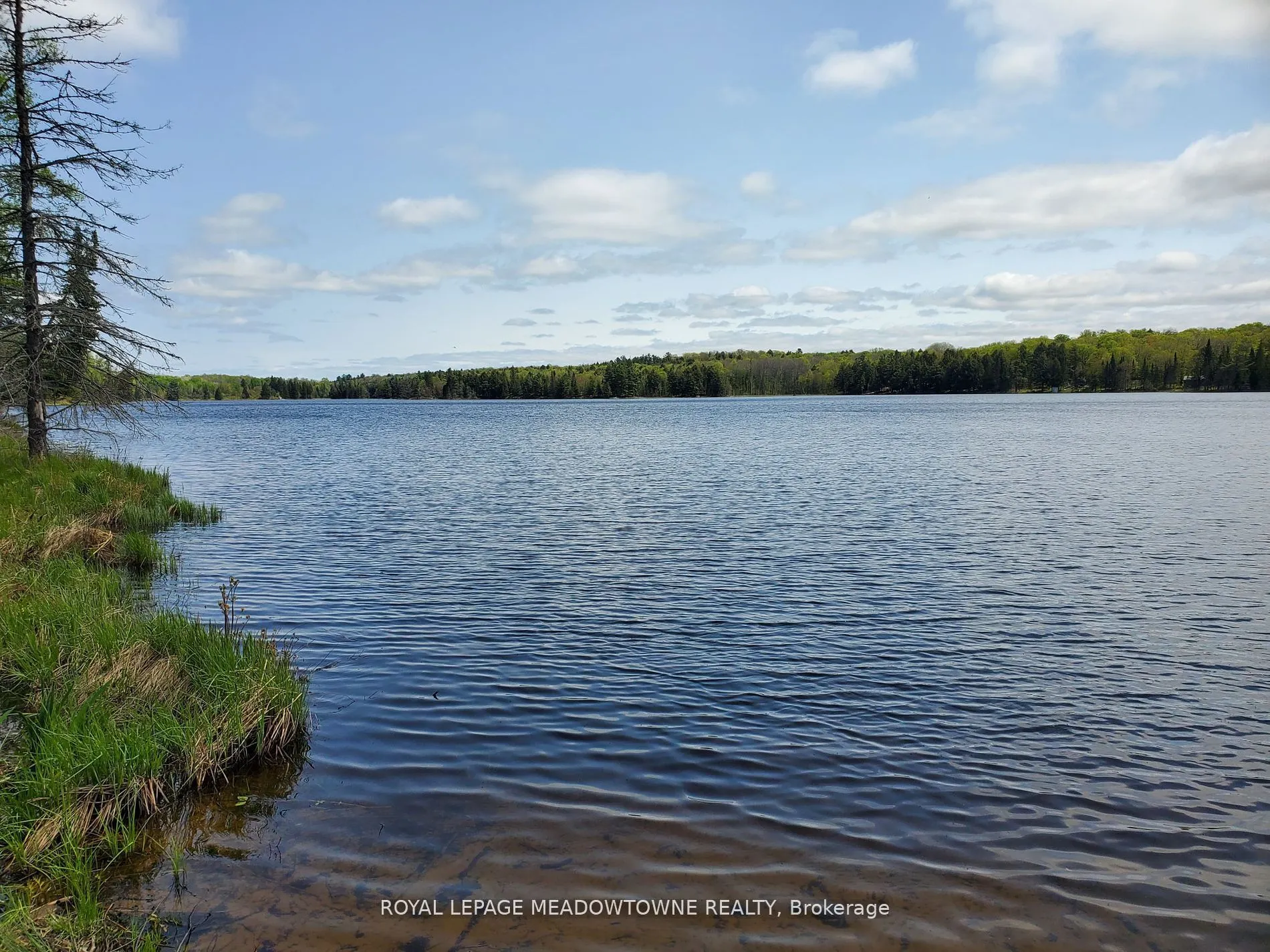PT4,5,6 Cadden Lake