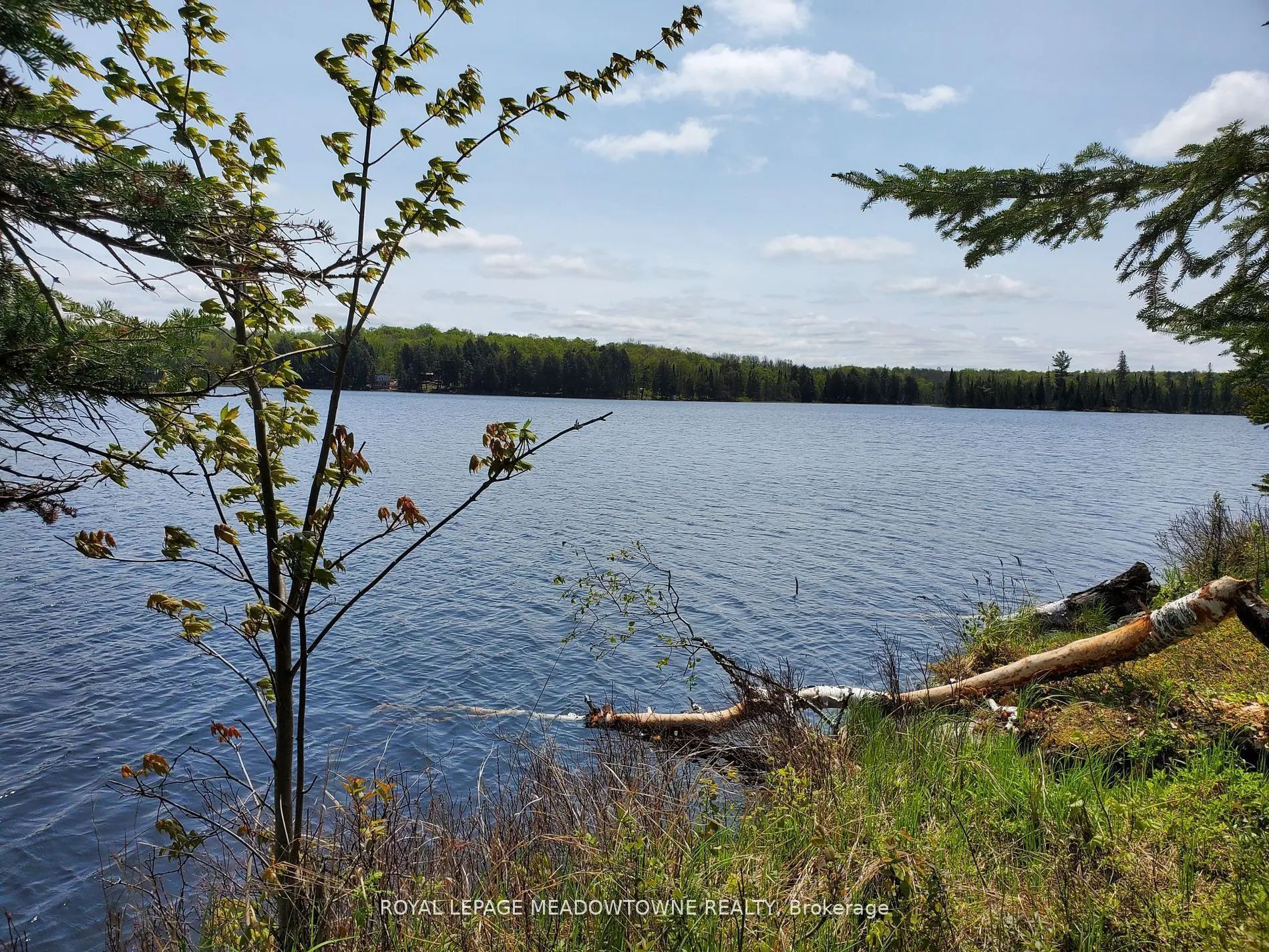 PT4,5,6 Cadden Lake