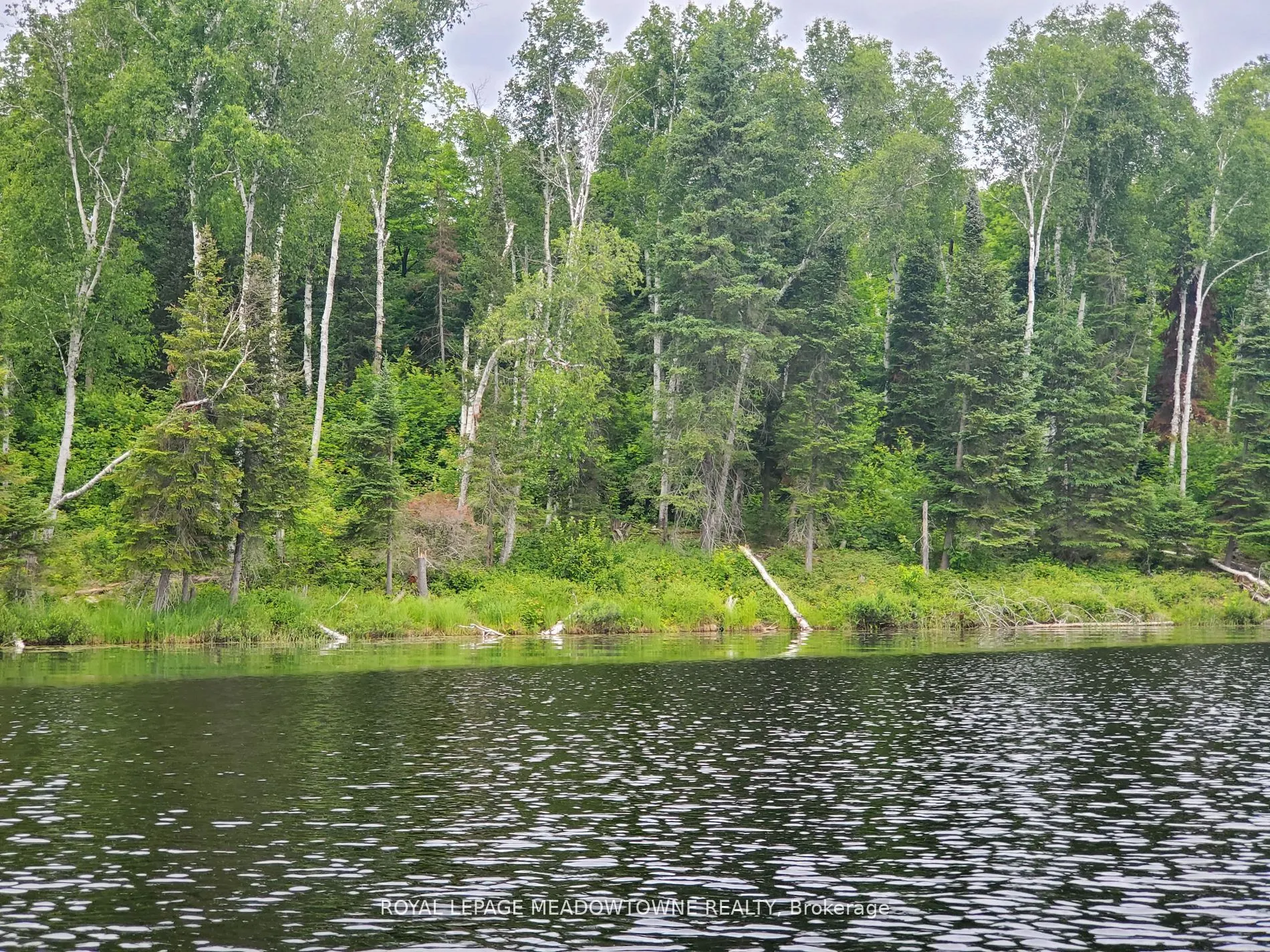 PT4,5,6 Cadden Lake