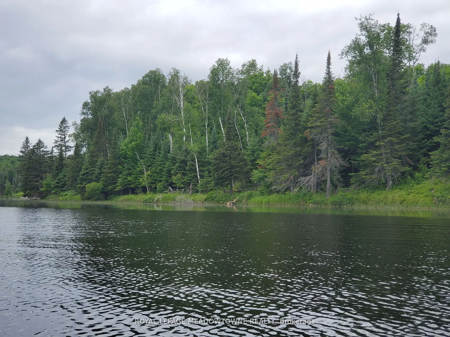 PT4,5,6 Cadden Lake