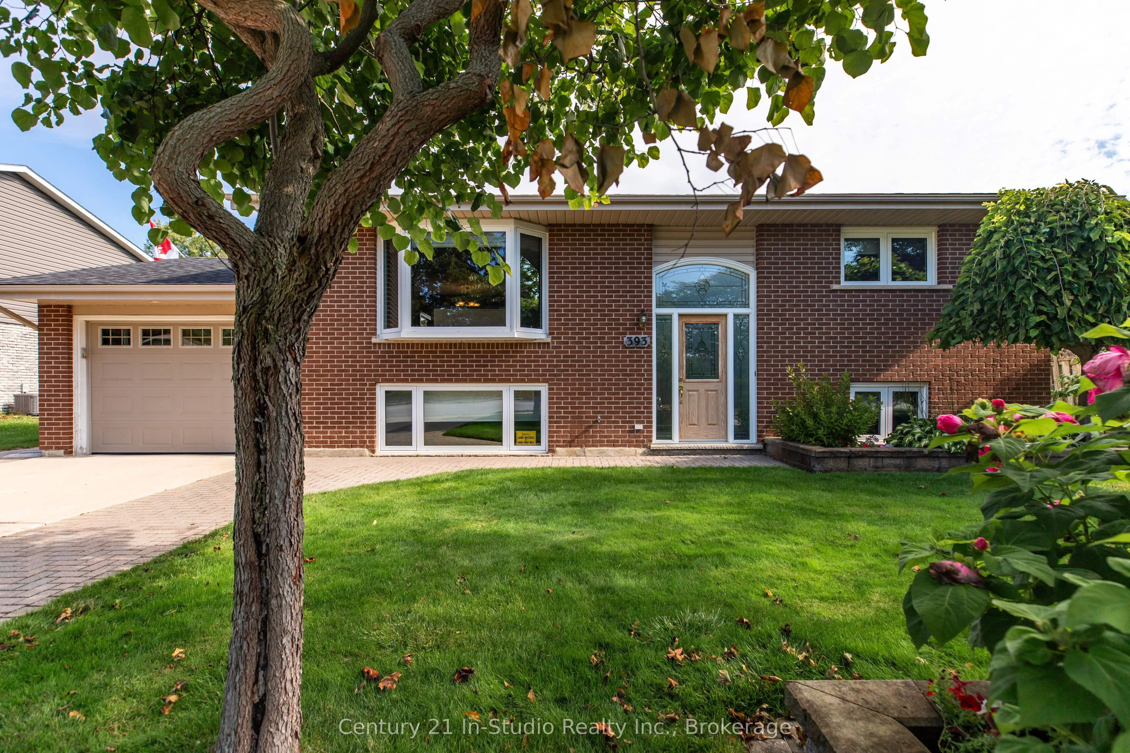 393 Crawford Street