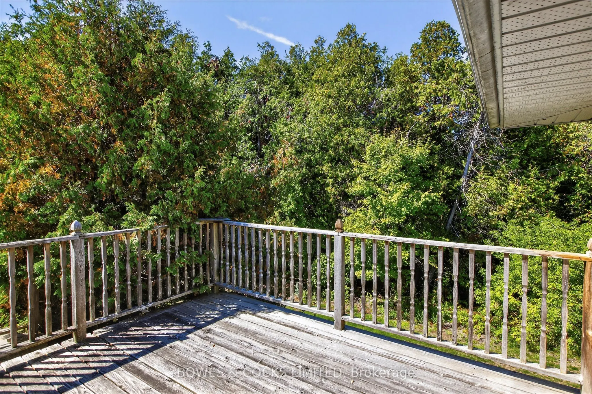 374 County Road 4