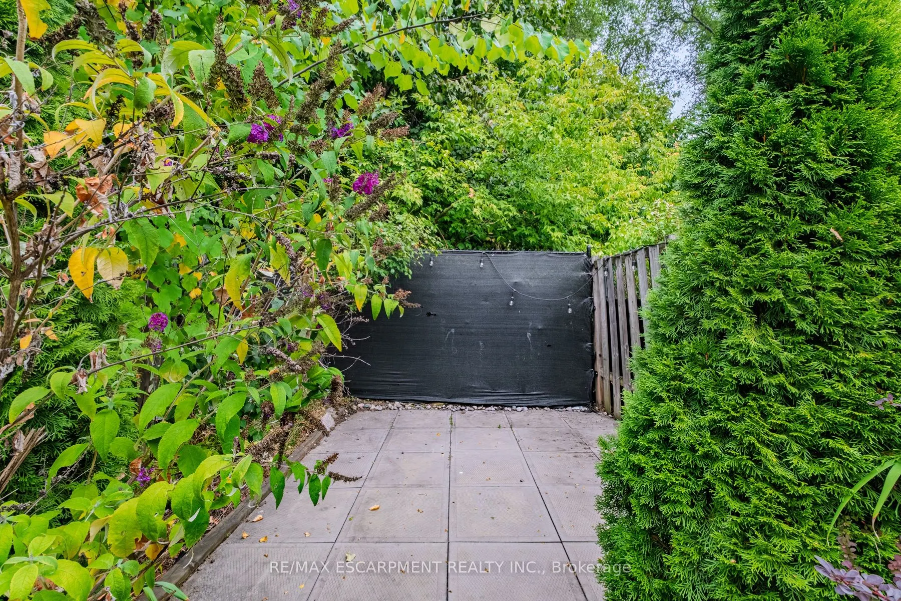 5 Dalhousie Avenue