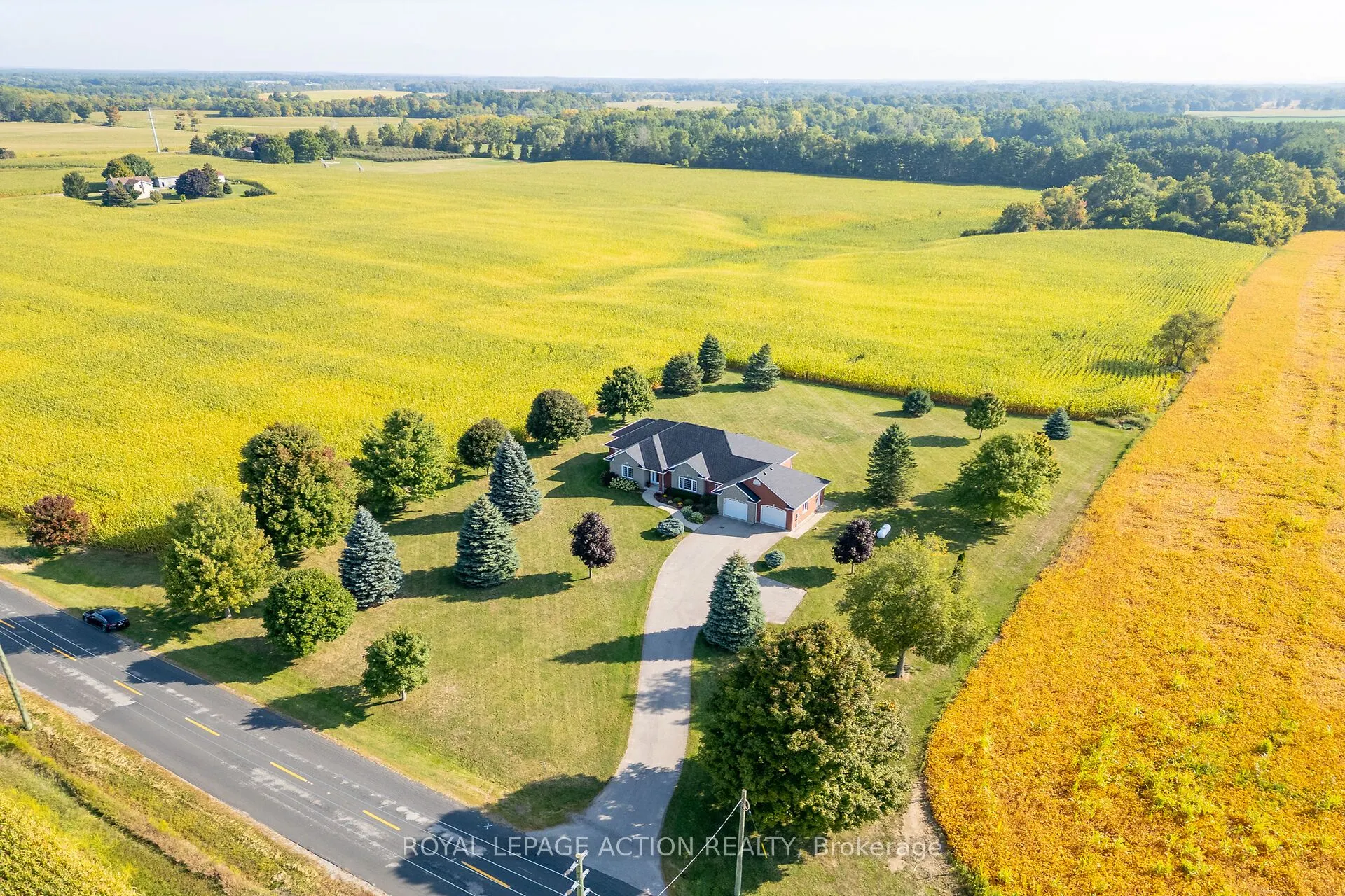 99 Mcmillan Road
