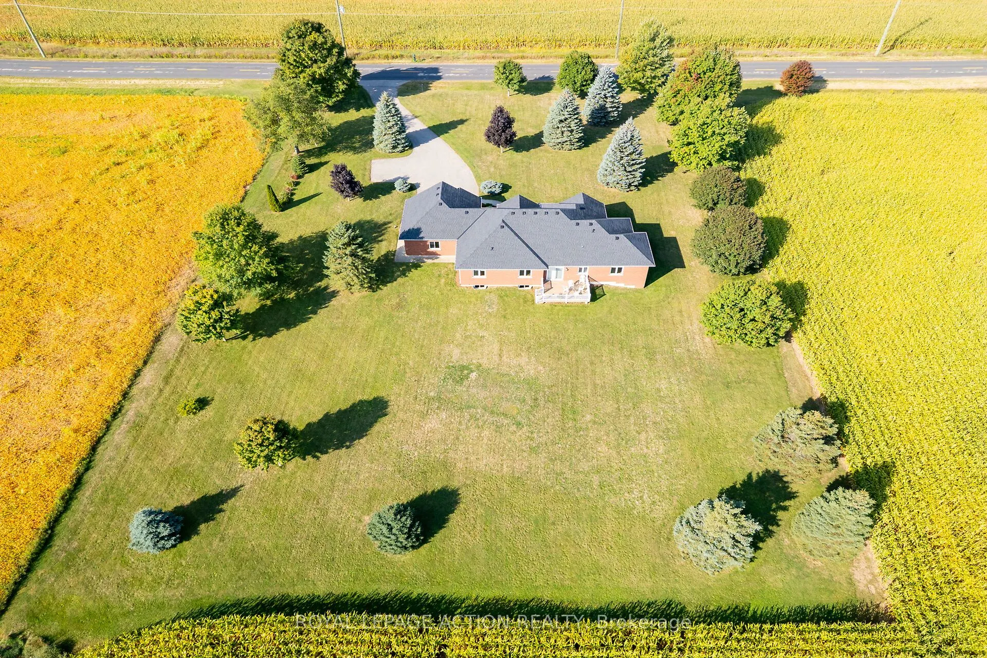 99 Mcmillan Road