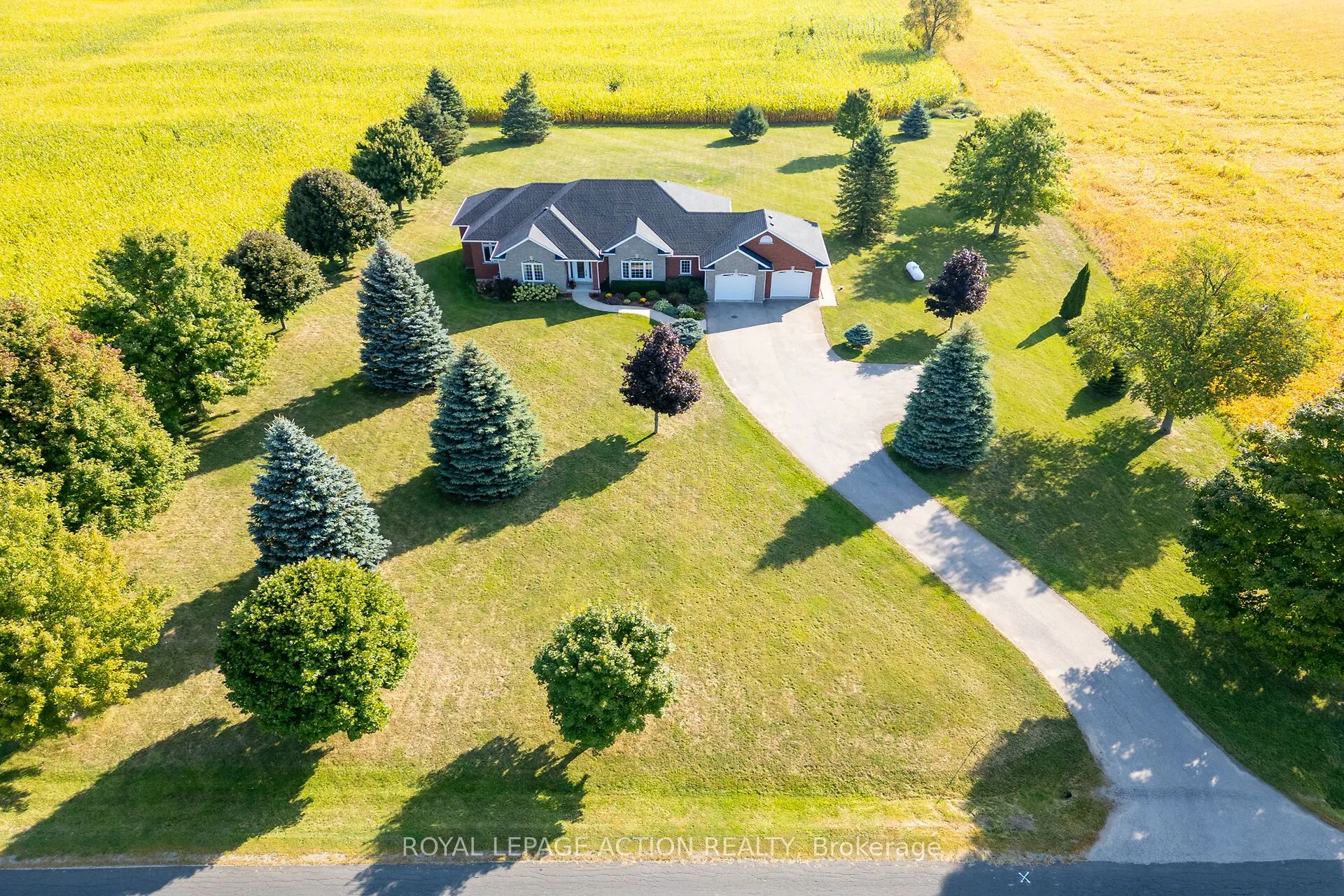 99 Mcmillan Road