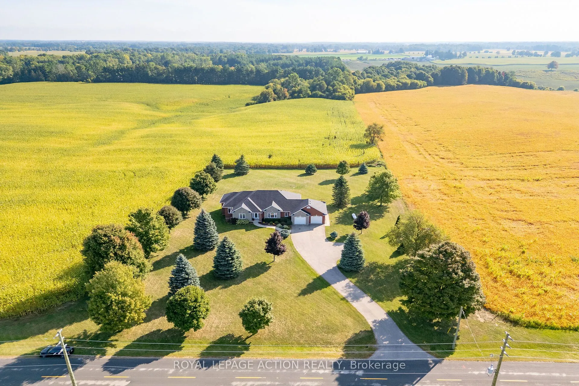 99 Mcmillan Road