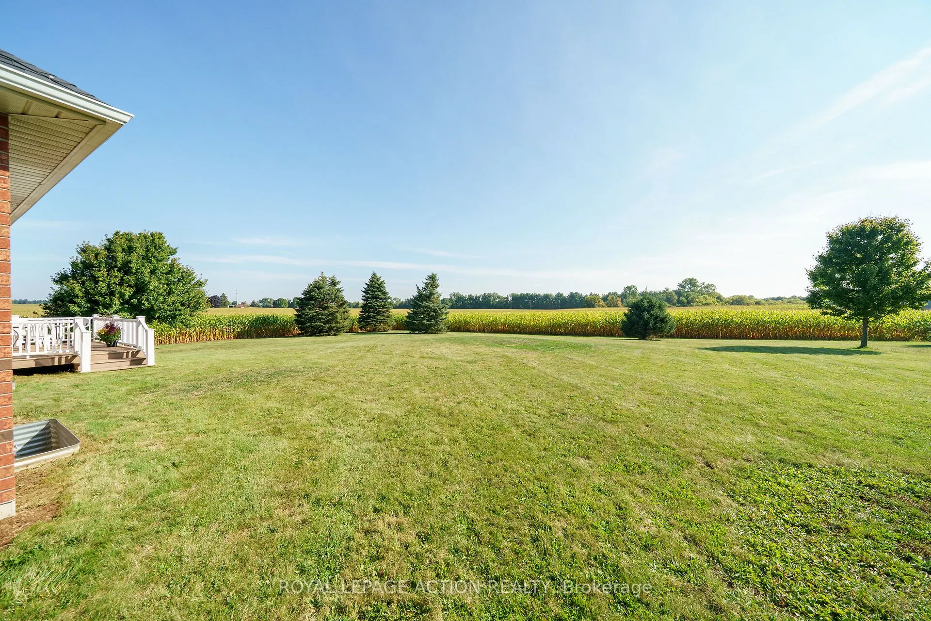 99 Mcmillan Road